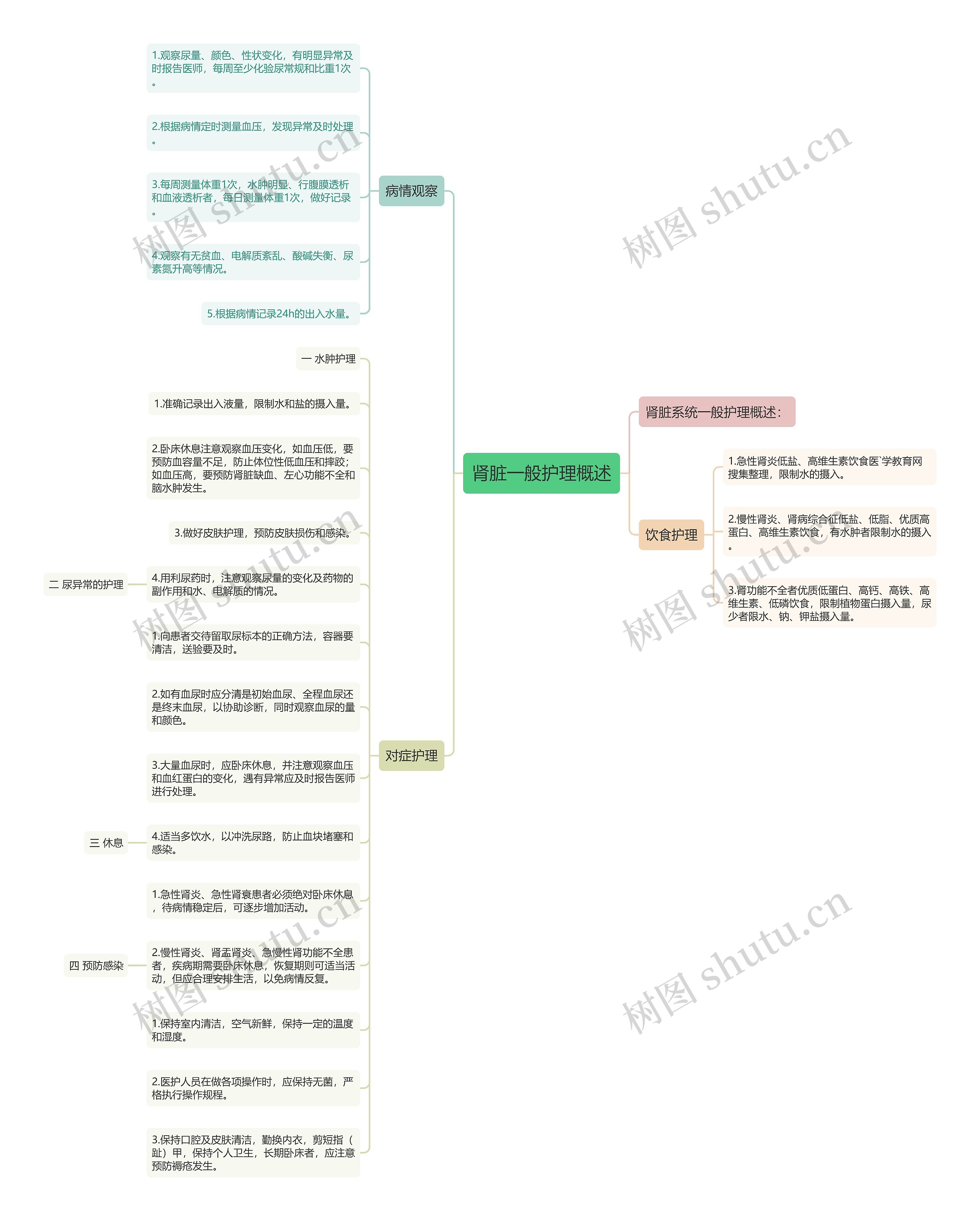 肾脏一般护理概述思维导图