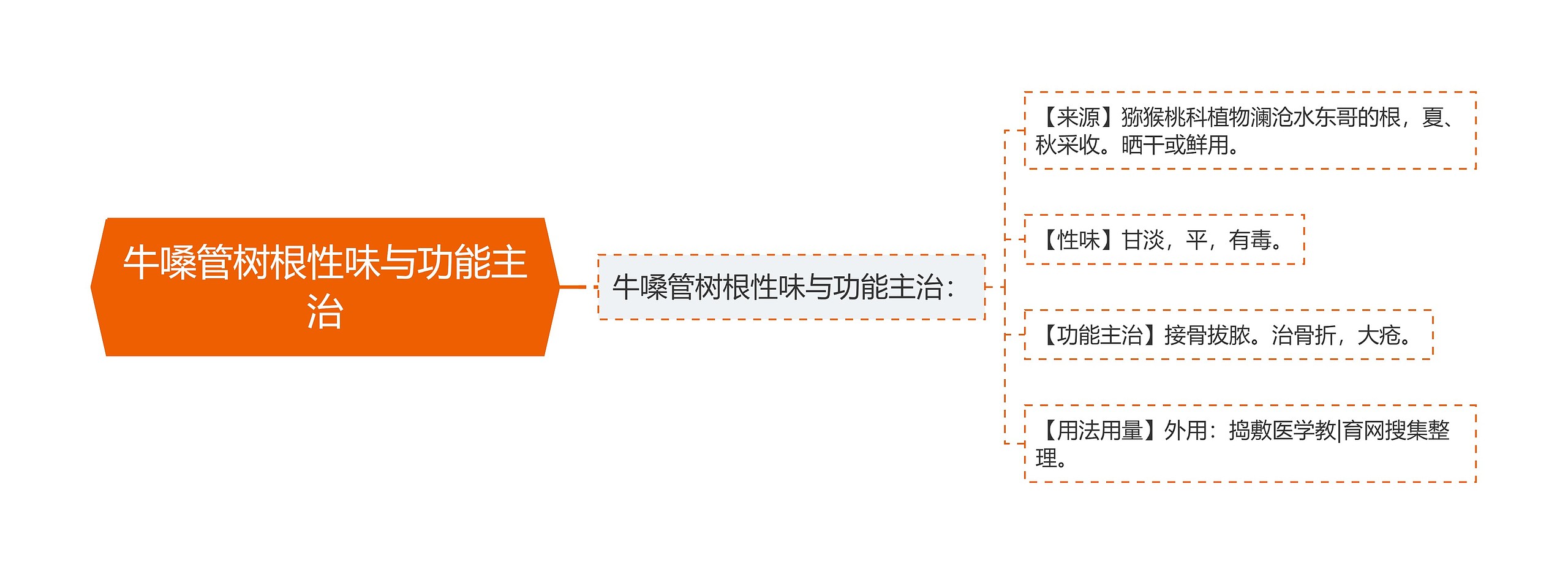 牛嗓管树根性味与功能主治思维导图