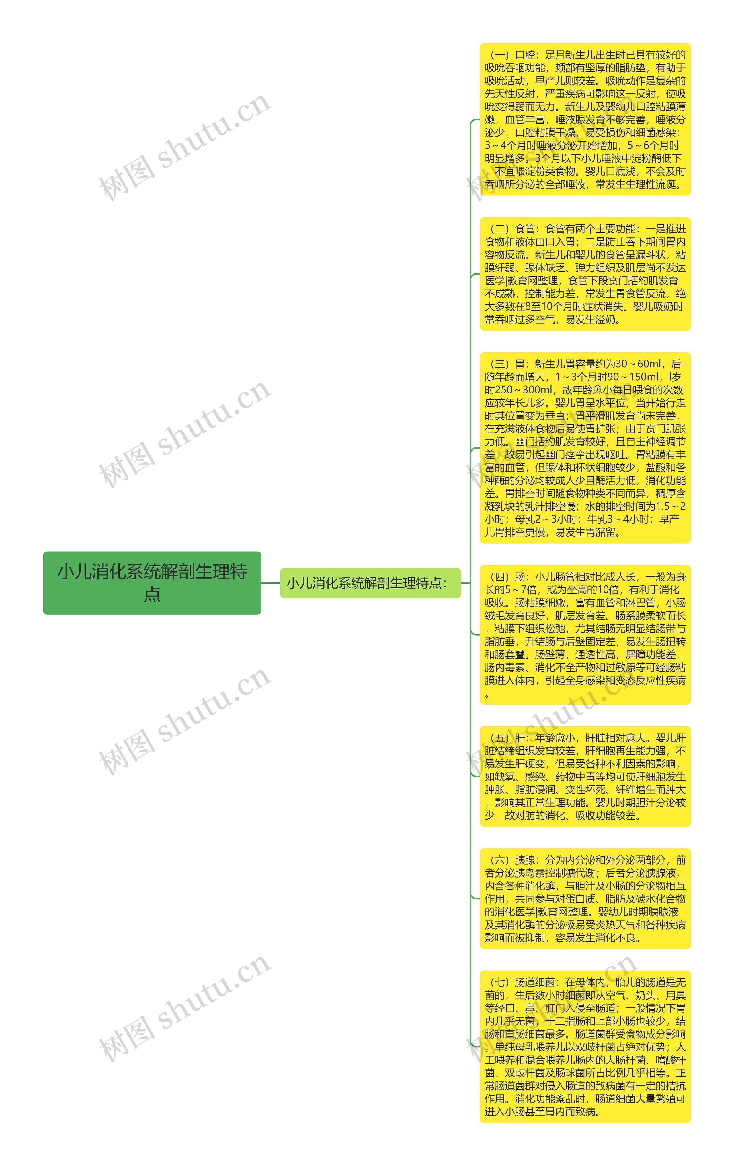 小儿消化系统解剖生理特点思维导图