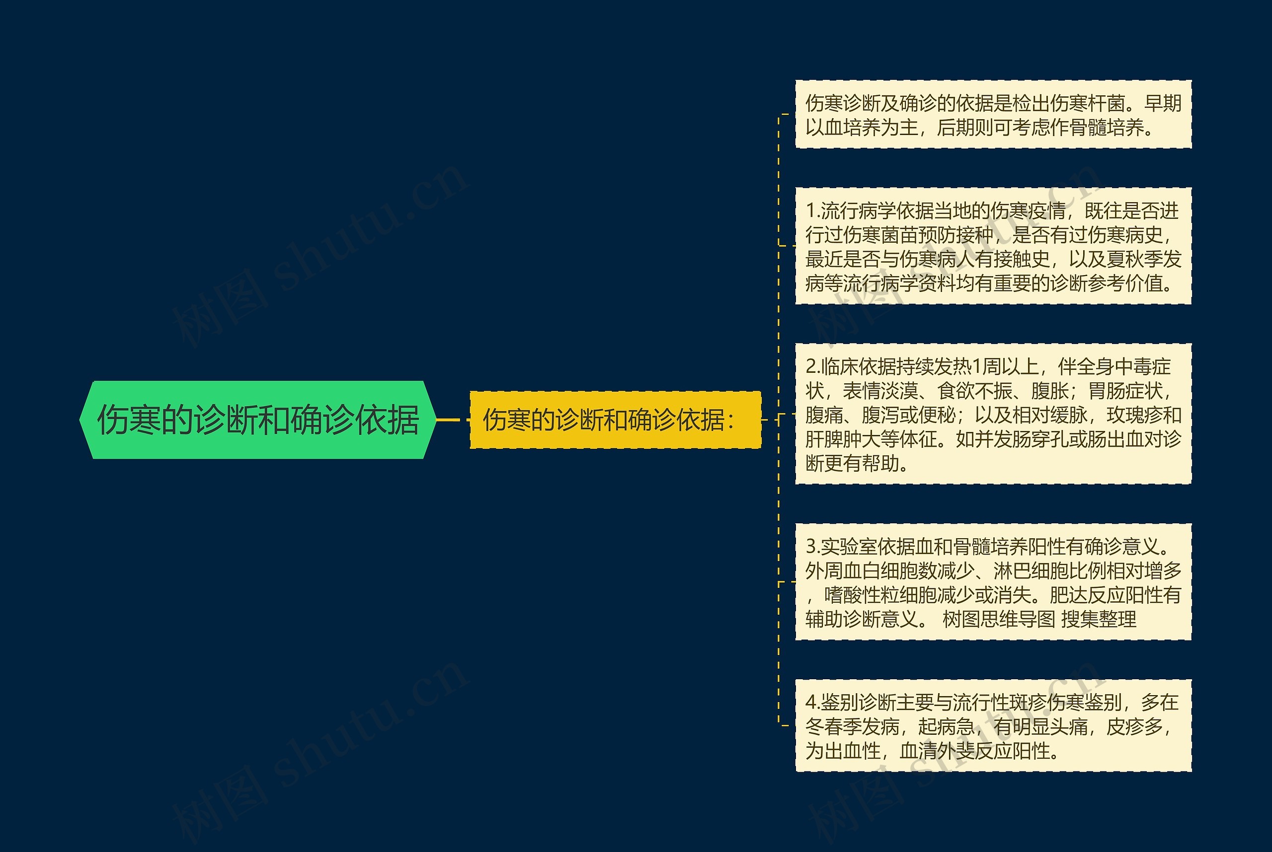 伤寒的诊断和确诊依据思维导图