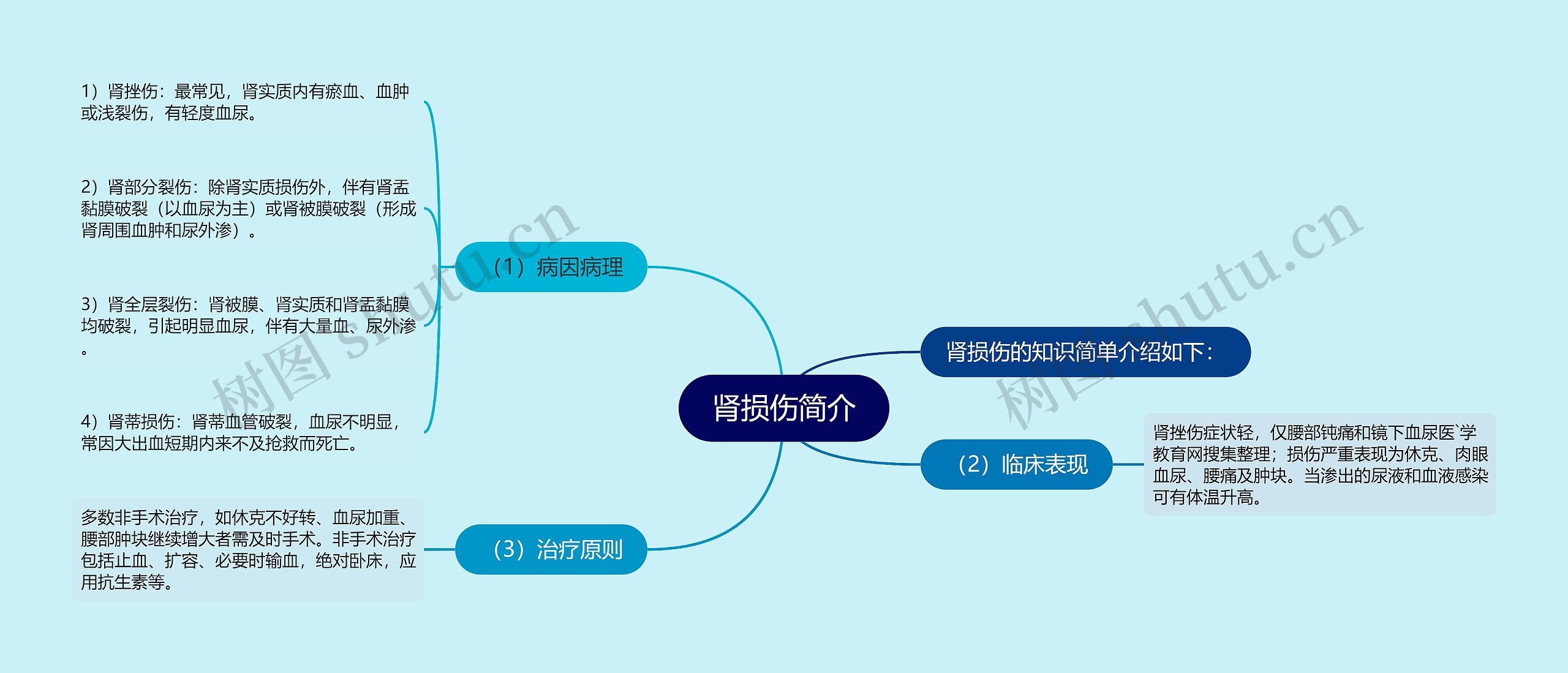 肾损伤简介思维导图