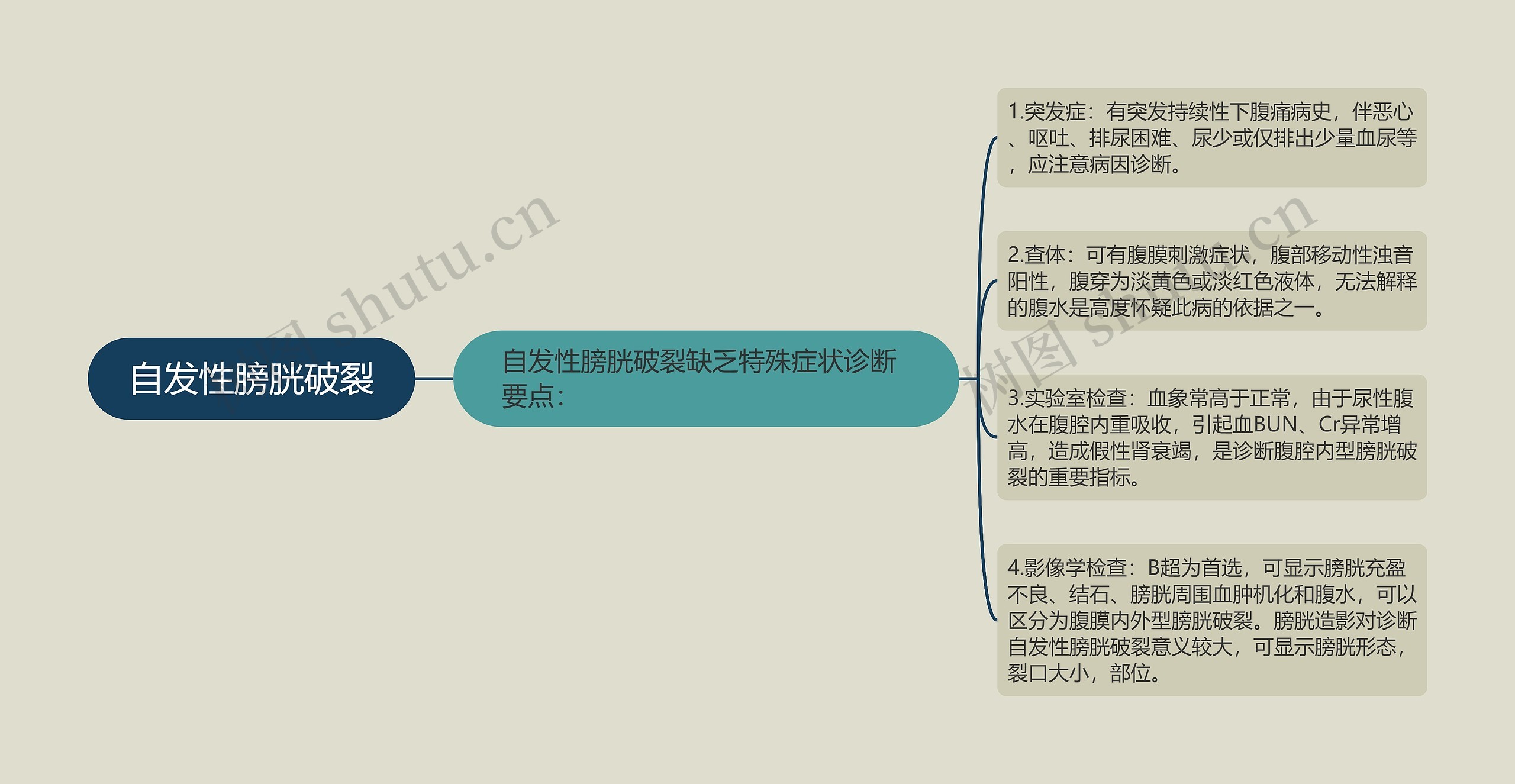 自发性膀胱破裂思维导图