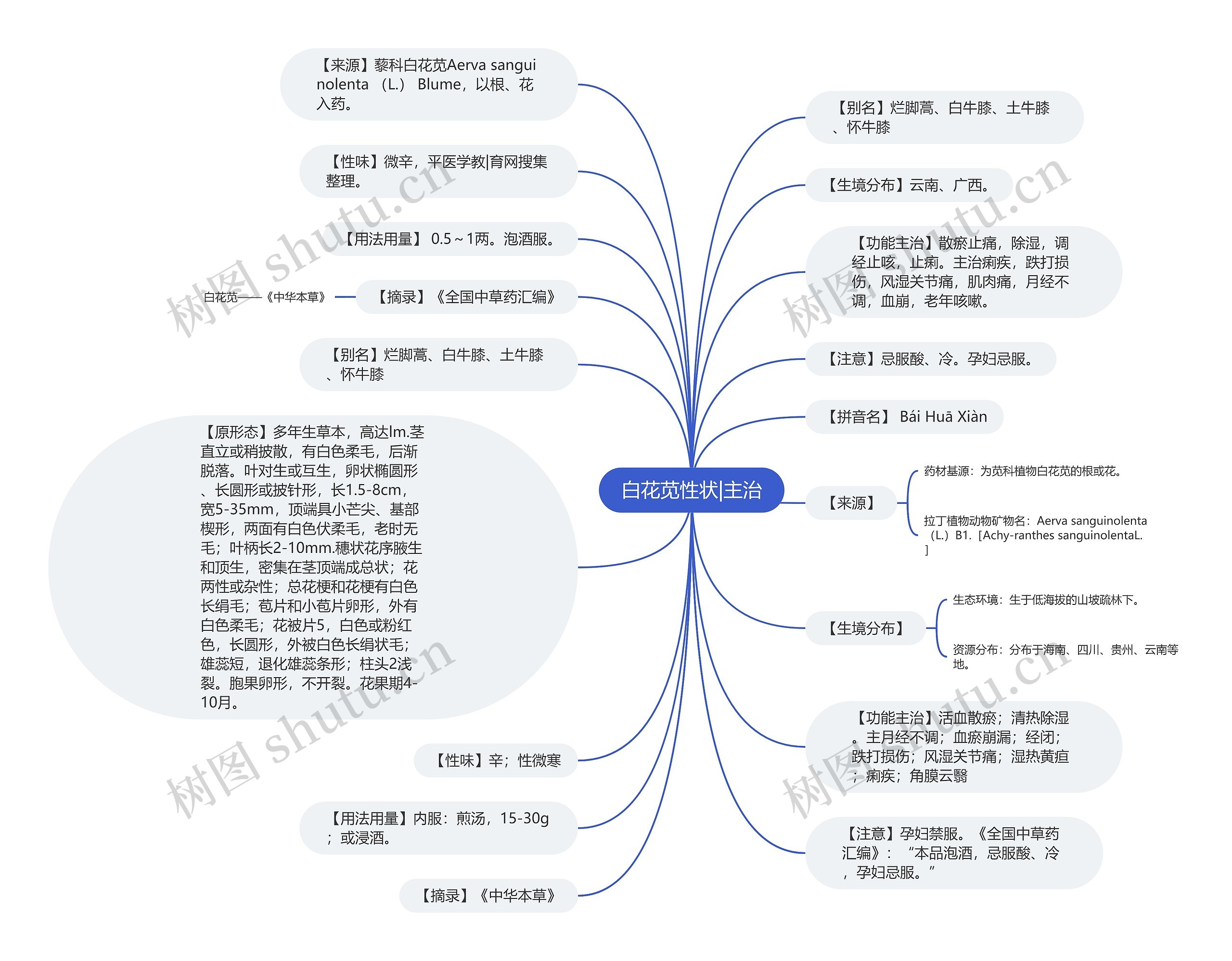 白花苋性状|主治思维导图