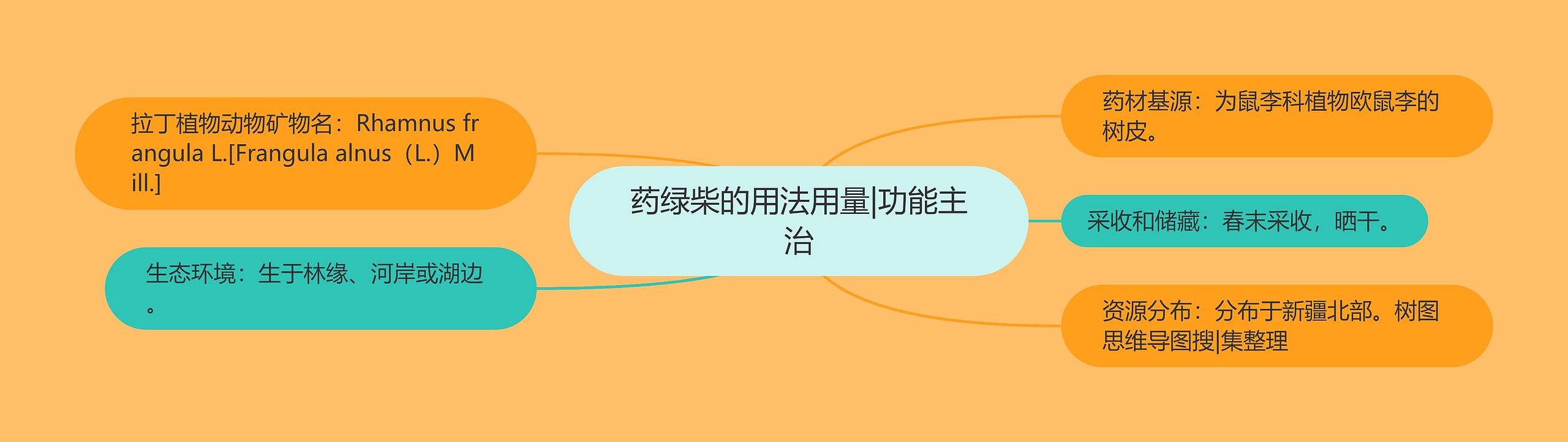 药绿柴的用法用量|功能主治 药绿柴的用法用量|功能主治