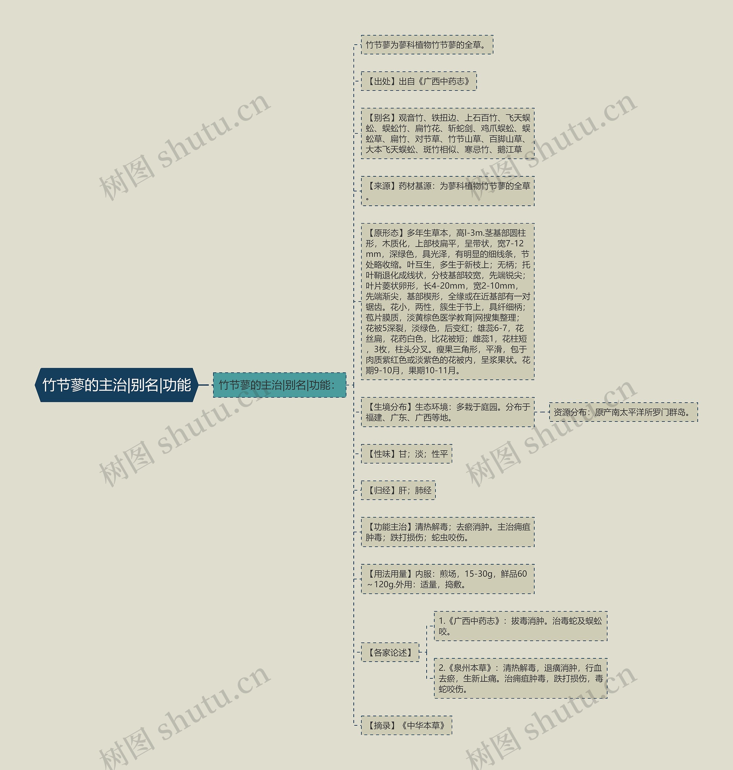 竹节蓼的主治|别名|功能思维导图