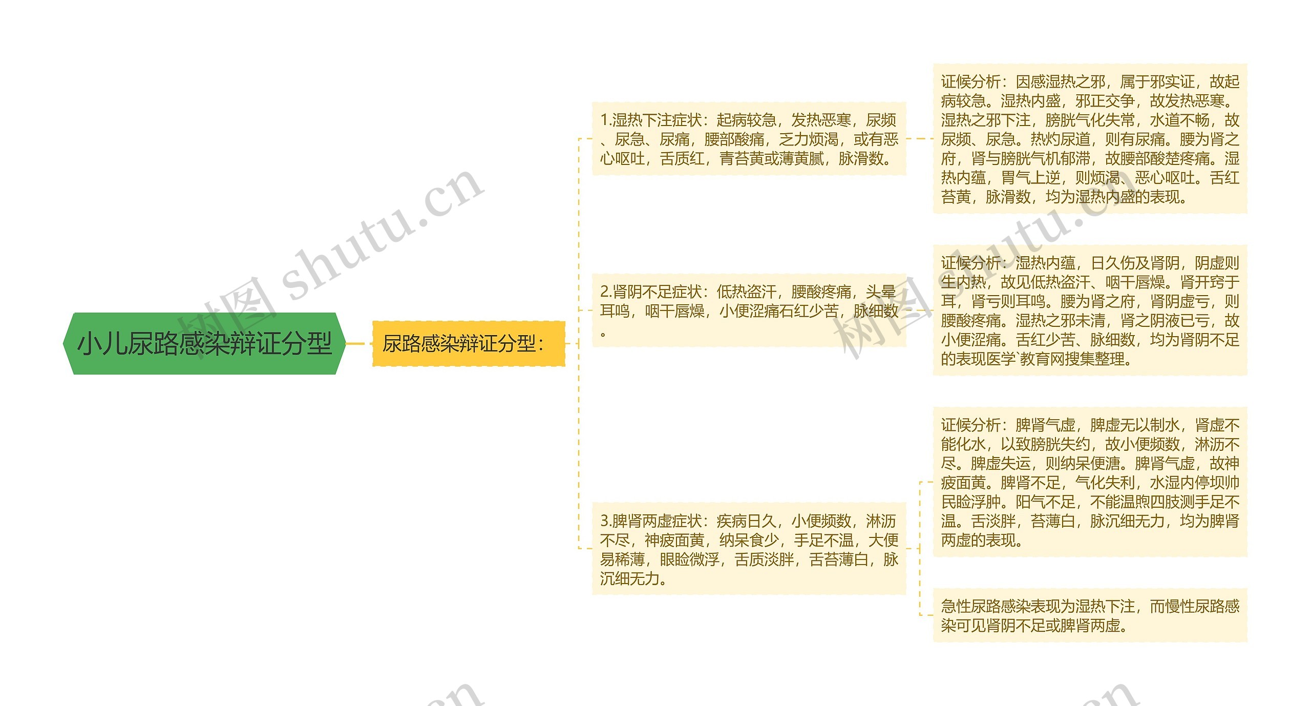 小儿尿路感染辩证分型思维导图