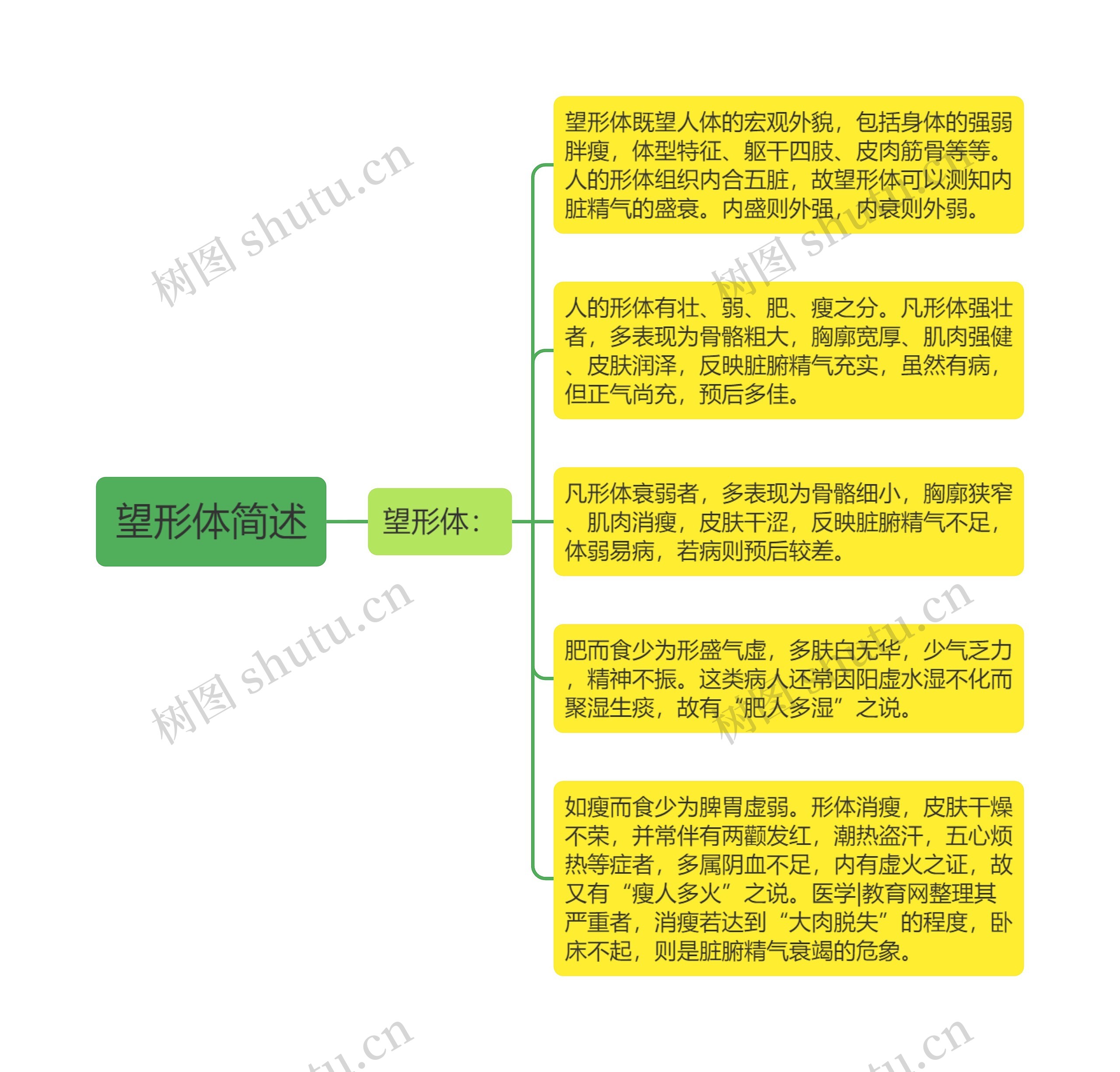 望形体简述思维导图