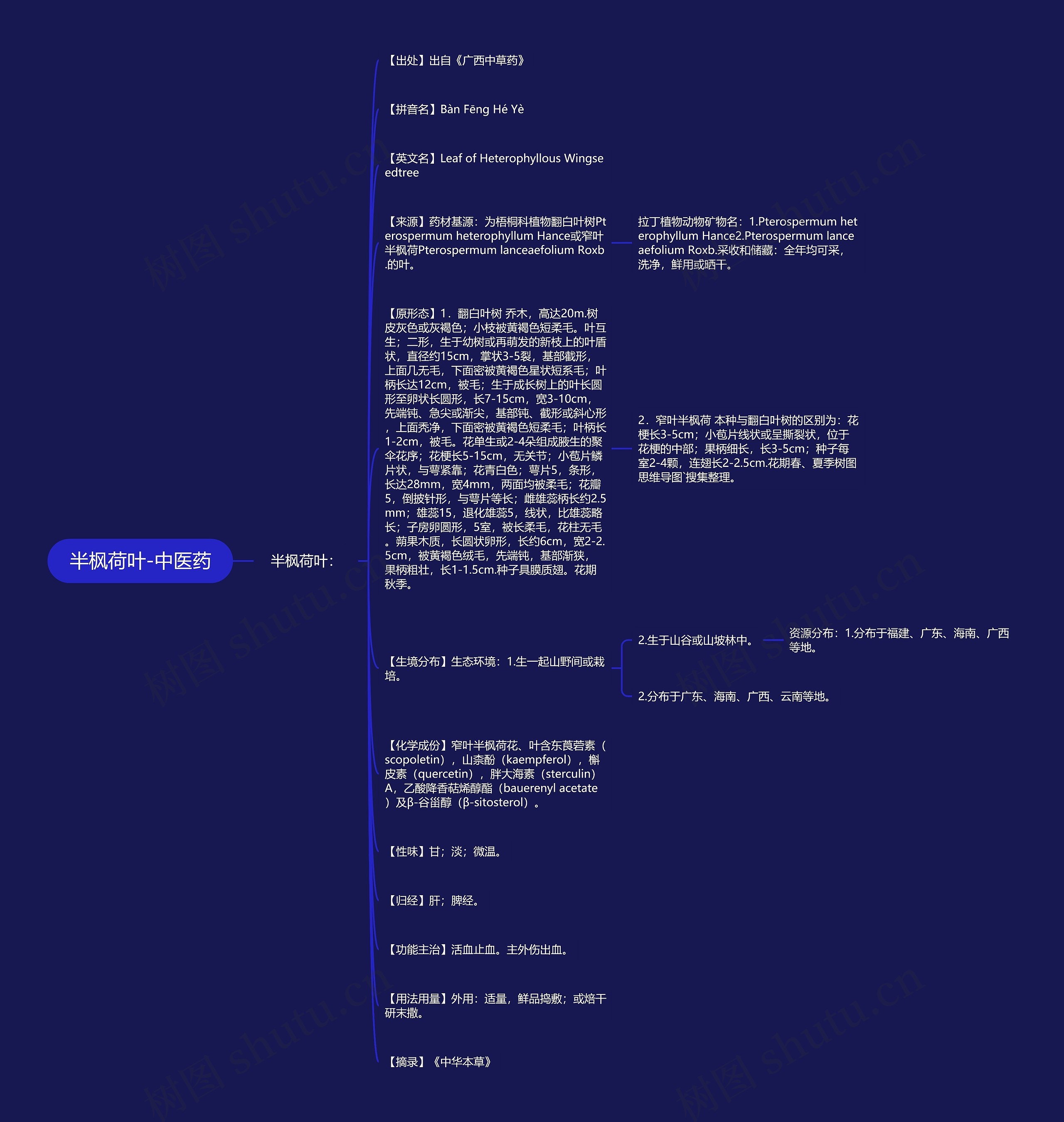半枫荷叶-中医药 半枫荷叶-中医药