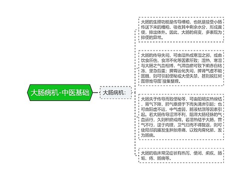 大肠病机-中医基础