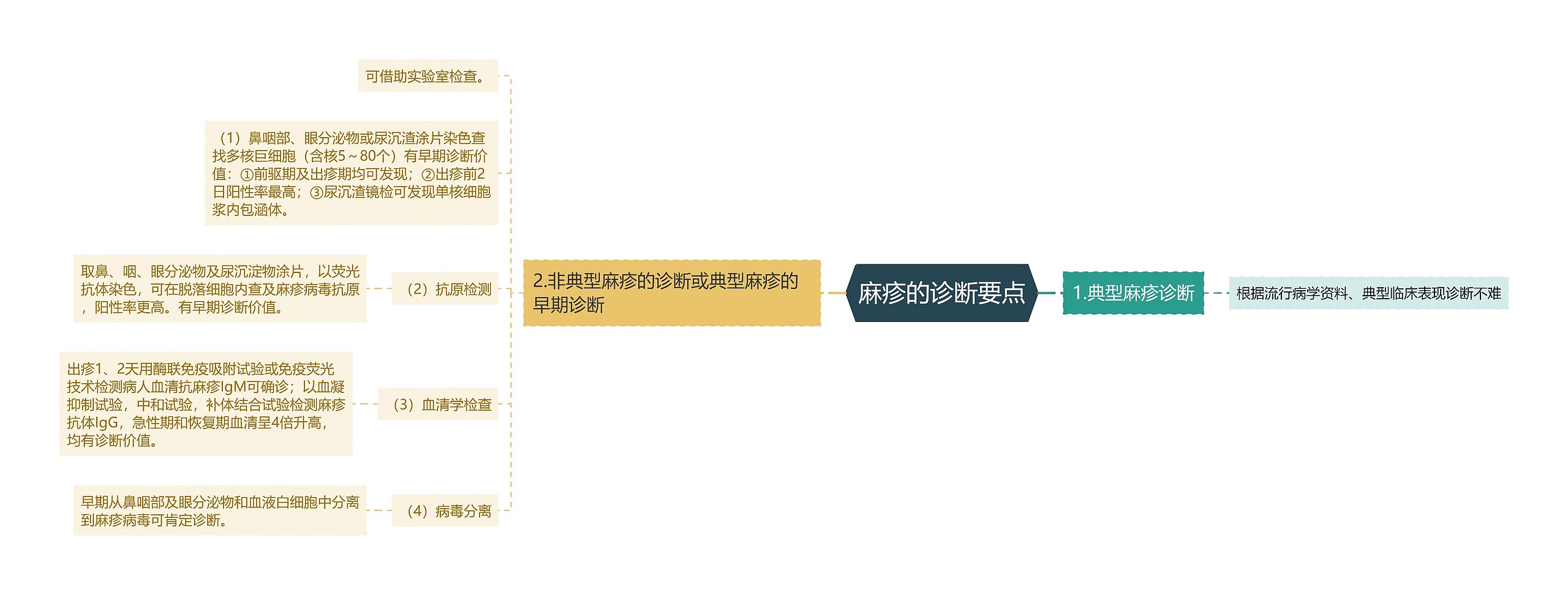 麻疹的诊断要点思维导图