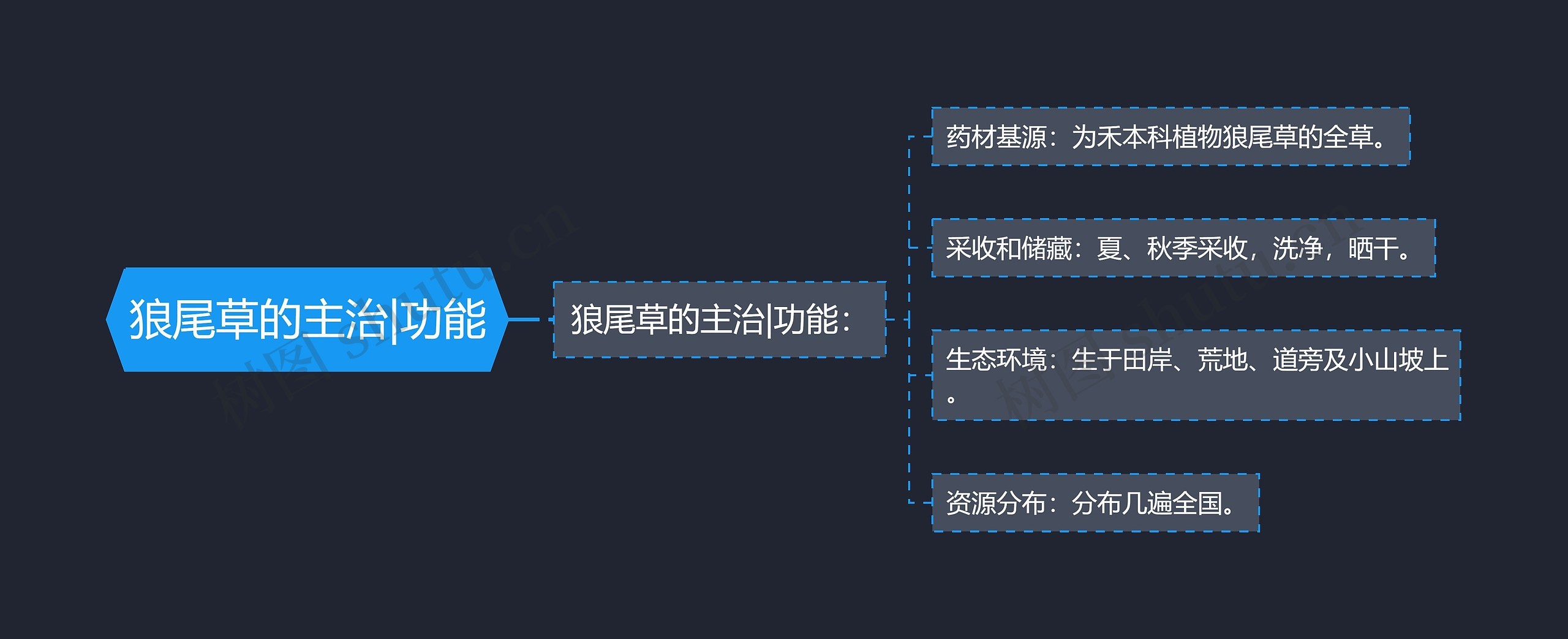 狼尾草的主治|功能 狼尾草的主治|功能