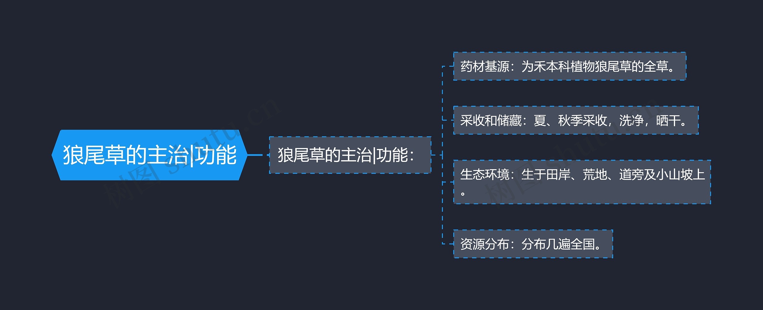 狼尾草的主治|功能思维导图