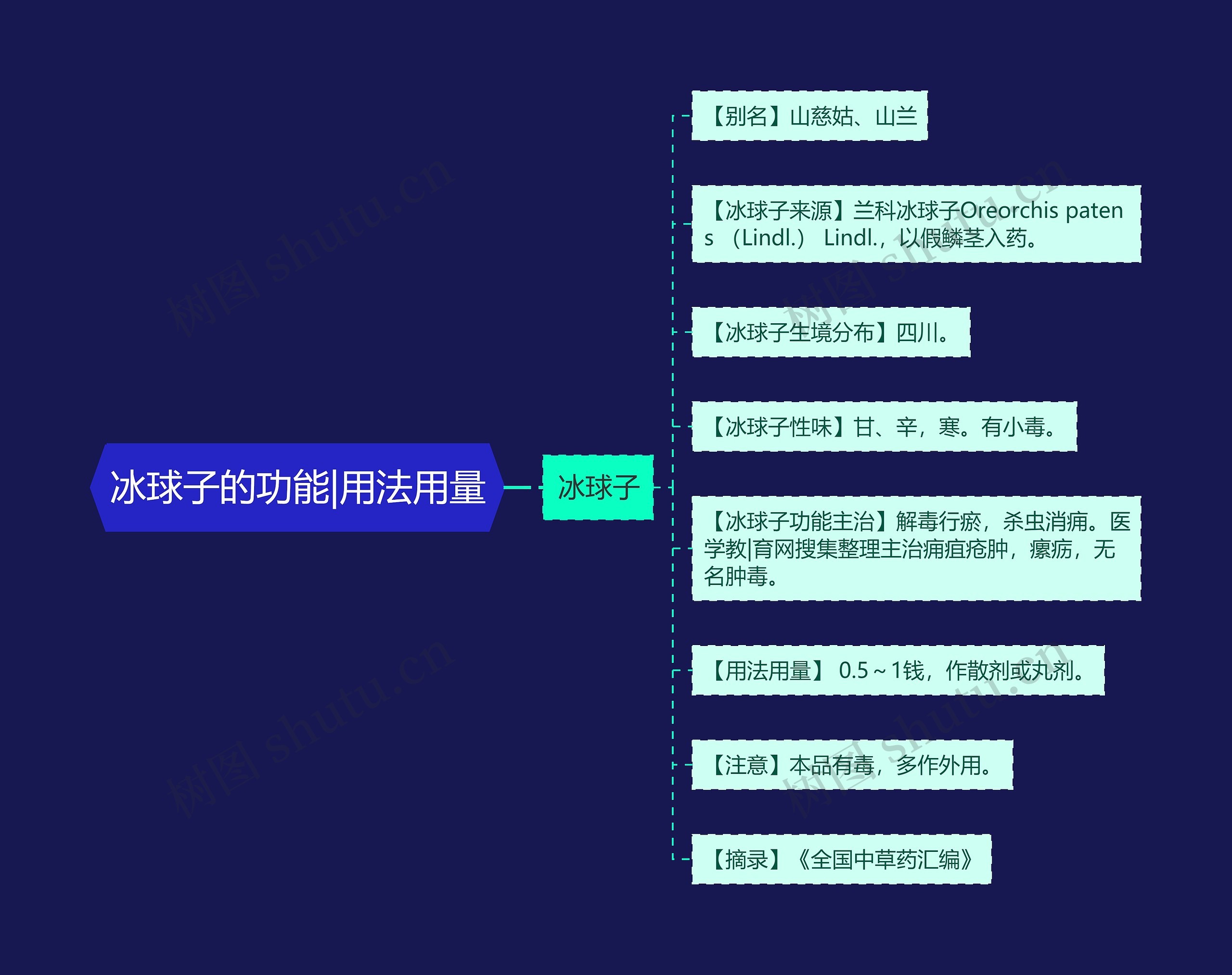 冰球子的功能|用法用量思维导图