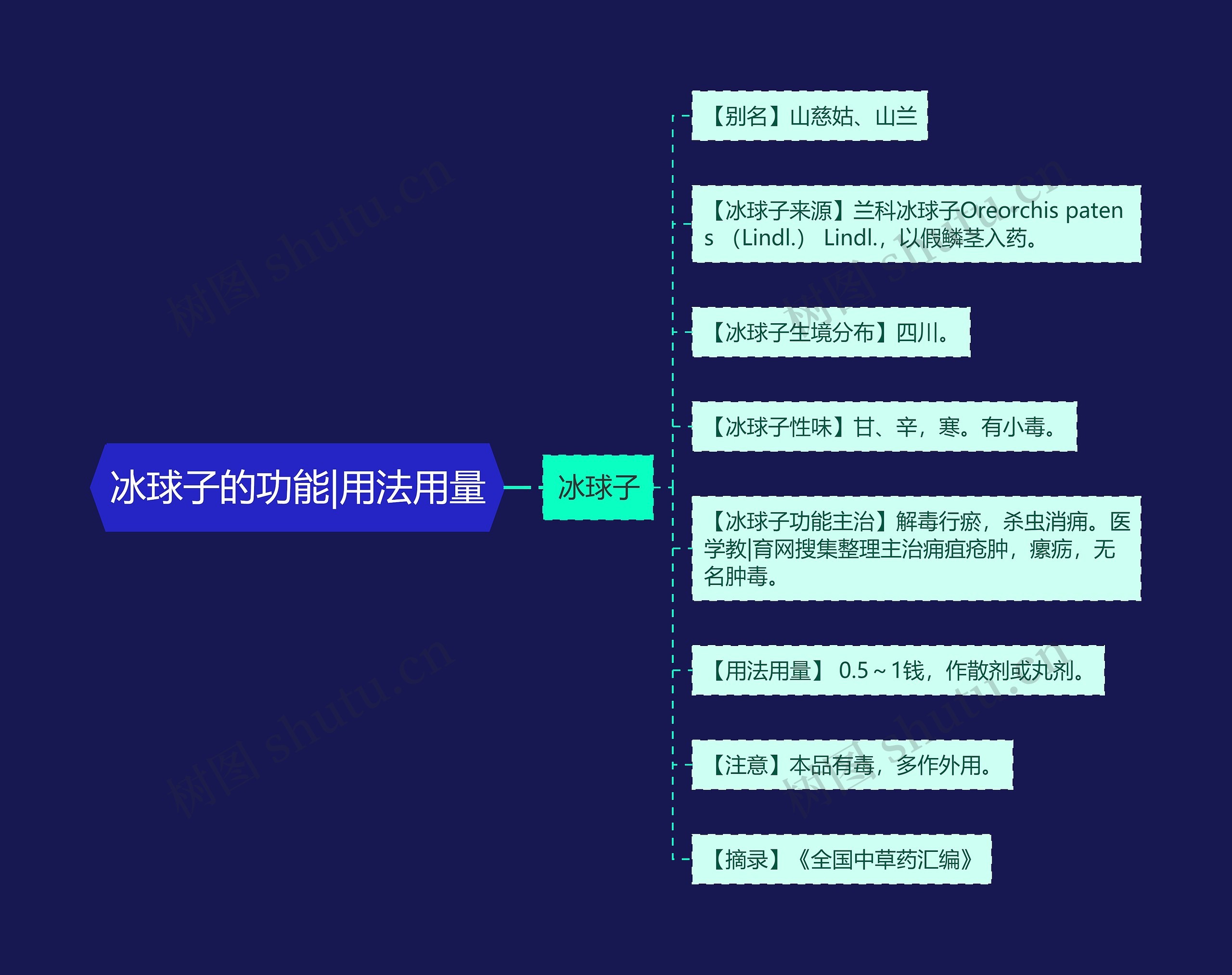 冰球子的功能|用法用量 冰球子的功能|用法用量