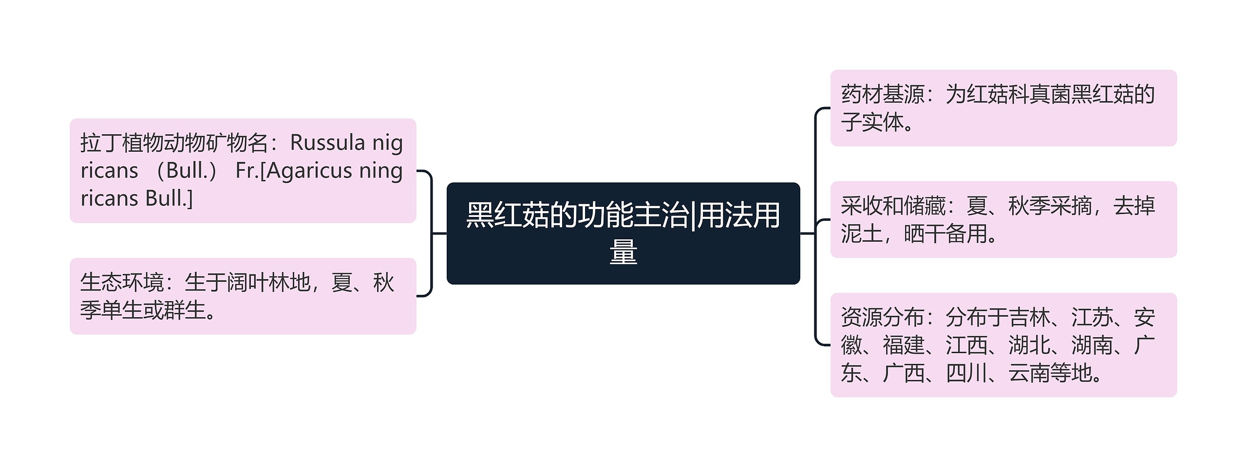 黑红菇的功能主治|用法用量