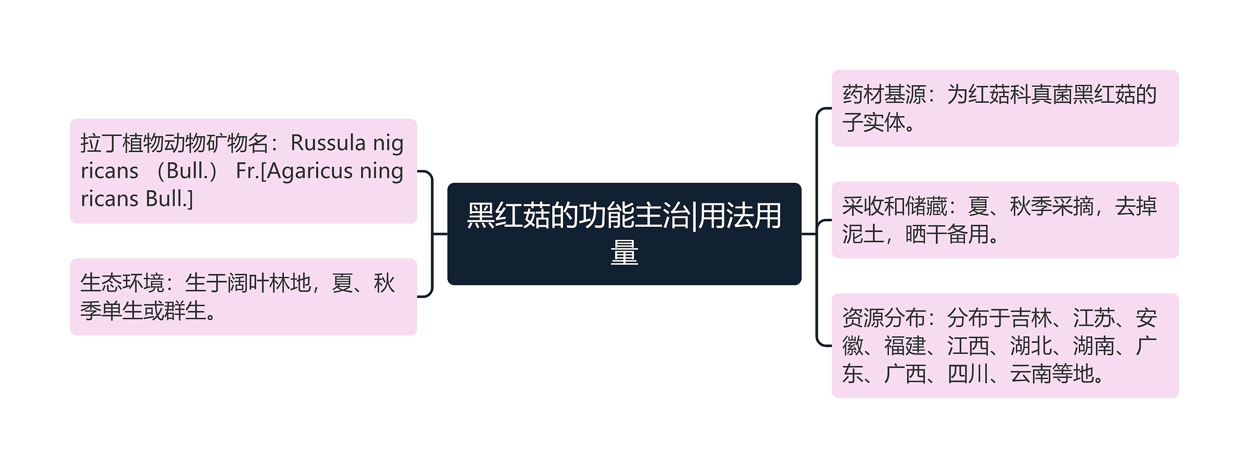 黑红菇的功能主治|用法用量思维导图