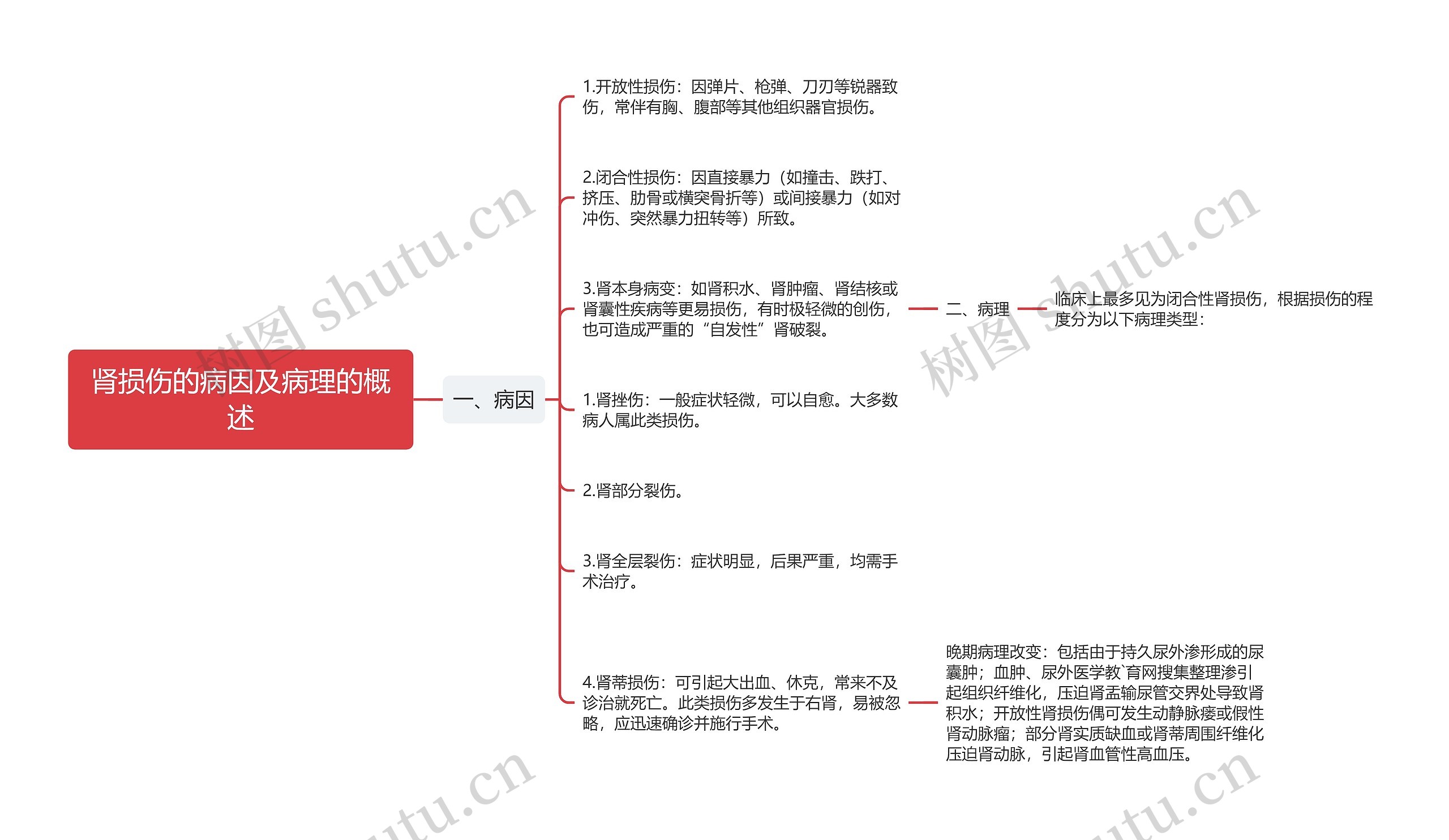 肾损伤的病因及病理的概述思维导图