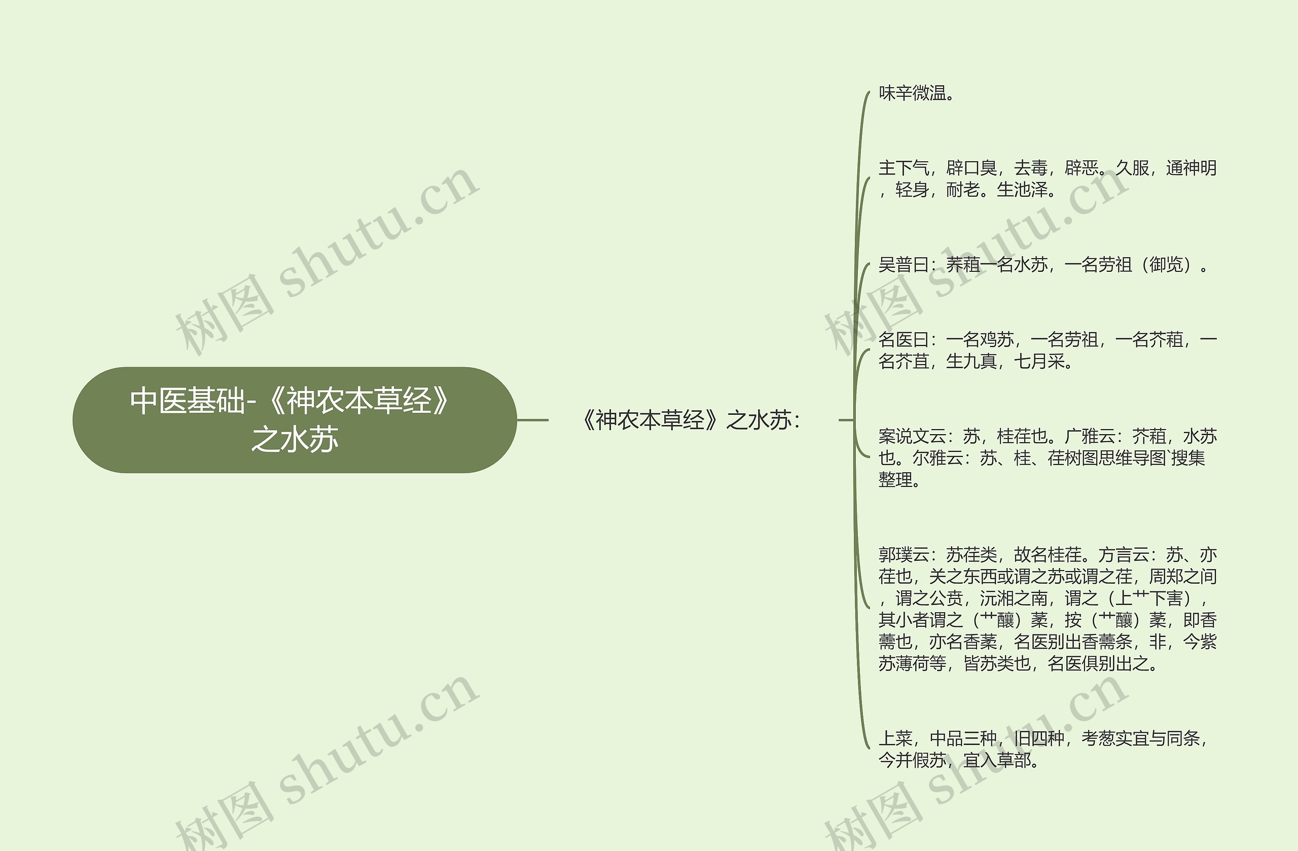 中医基础-《神农本草经》之水苏思维导图