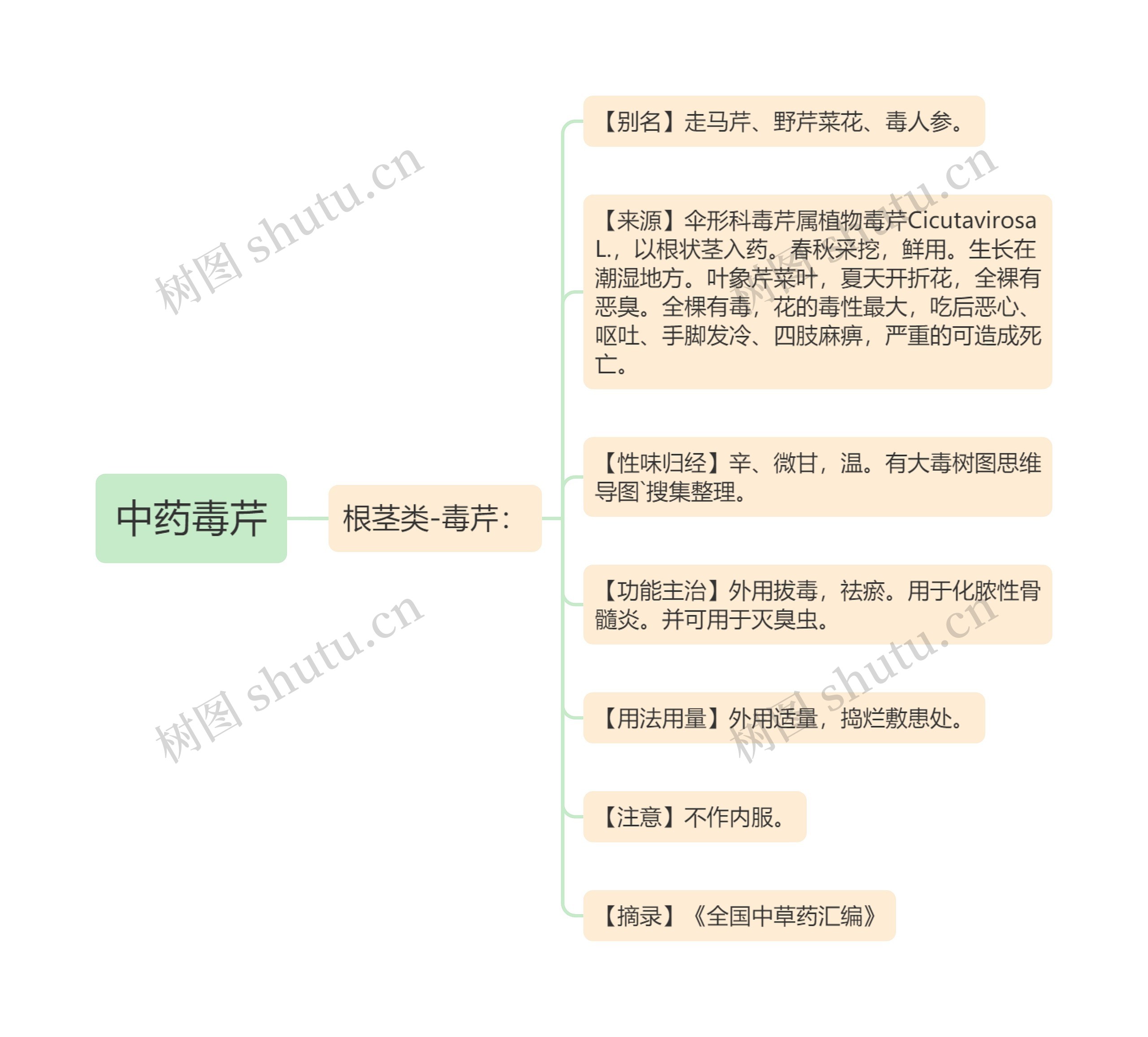 中药毒芹思维导图