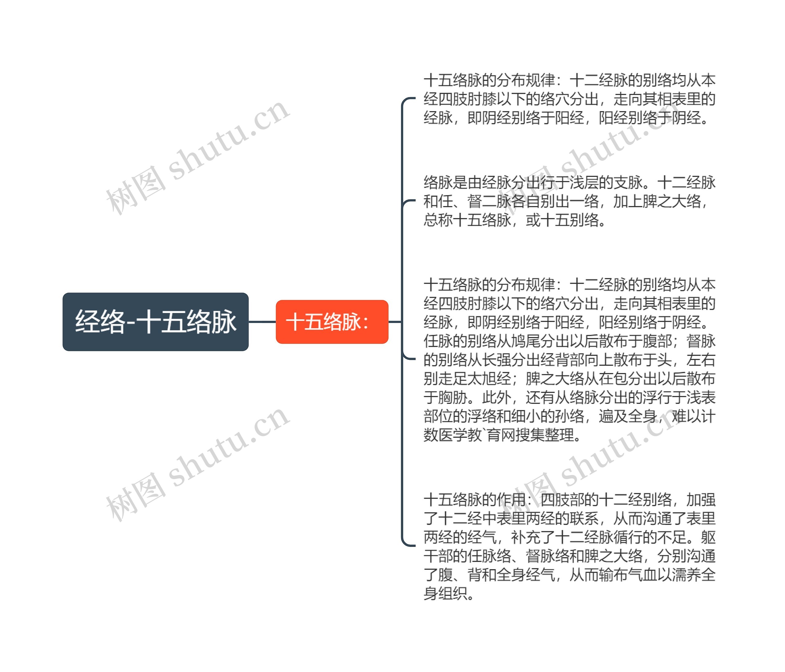 经络-十五络脉思维导图