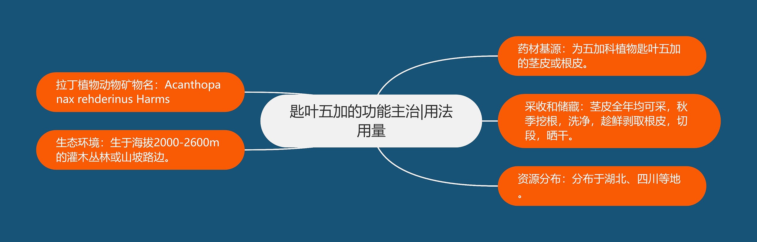 匙叶五加的功能主治|用法用量 匙叶五加的功能主治|用法用量