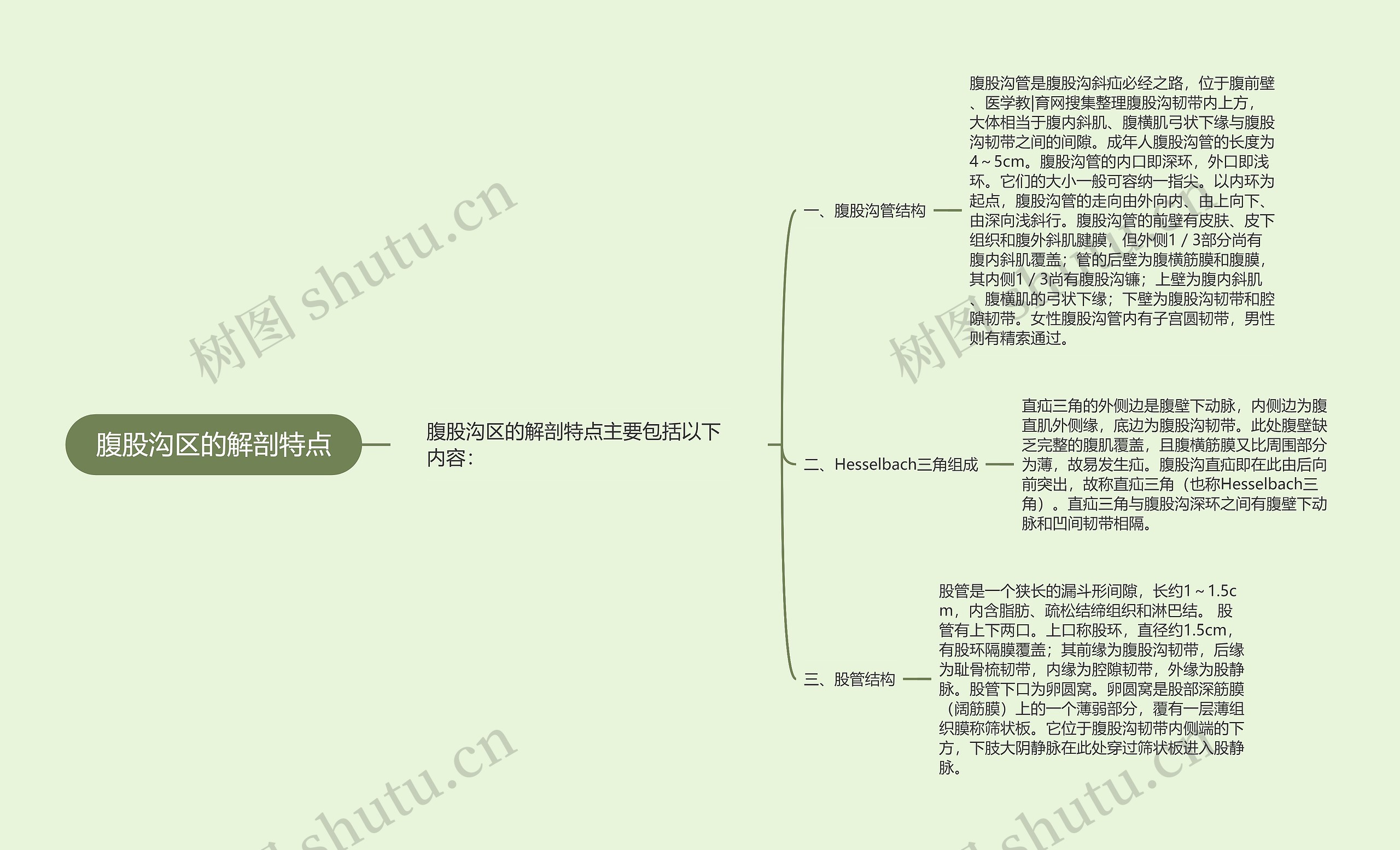 腹股沟区的解剖特点思维导图