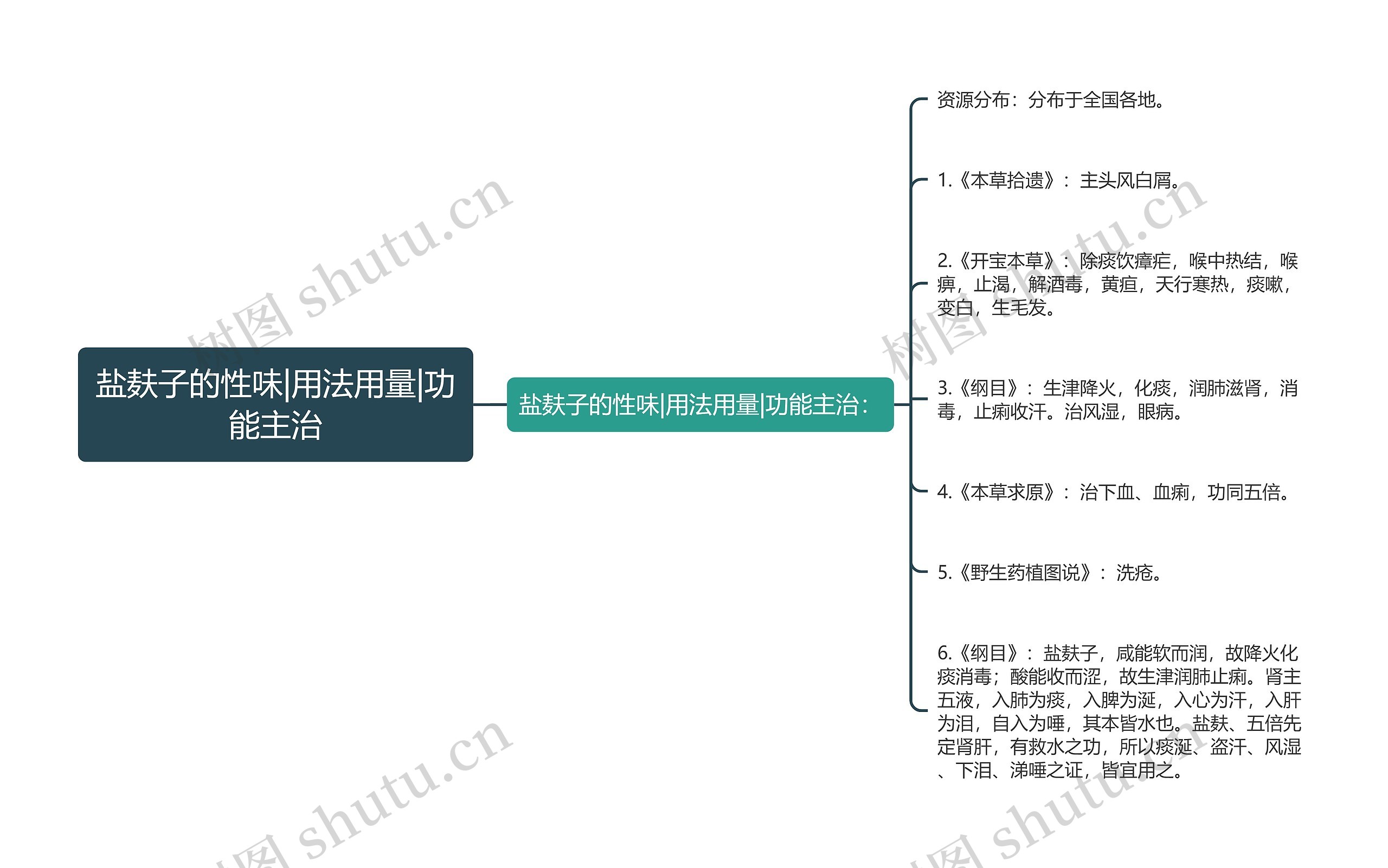 盐麸子的性味|用法用量|功能主治思维导图