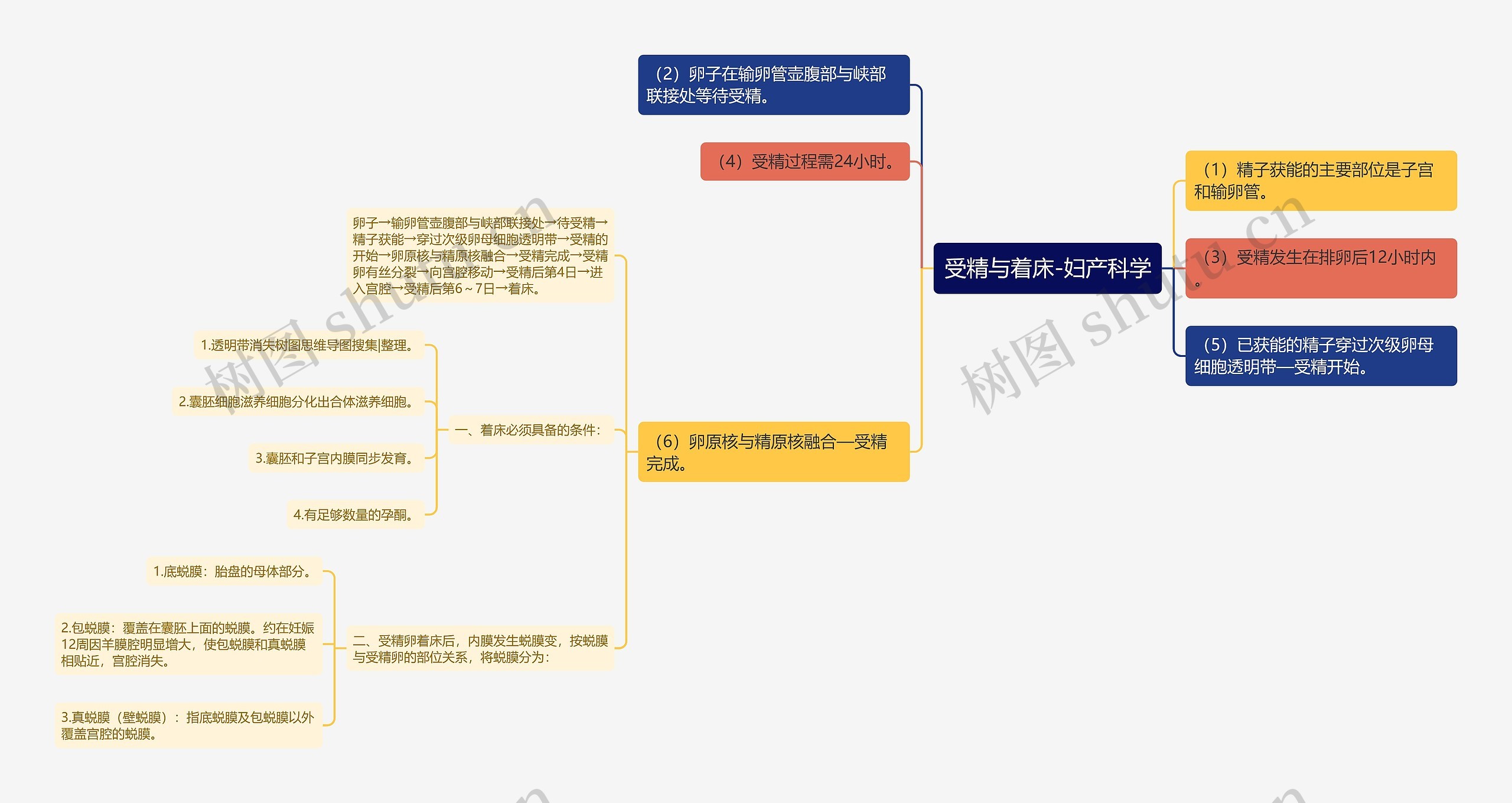 受精与着床-妇产科学思维导图