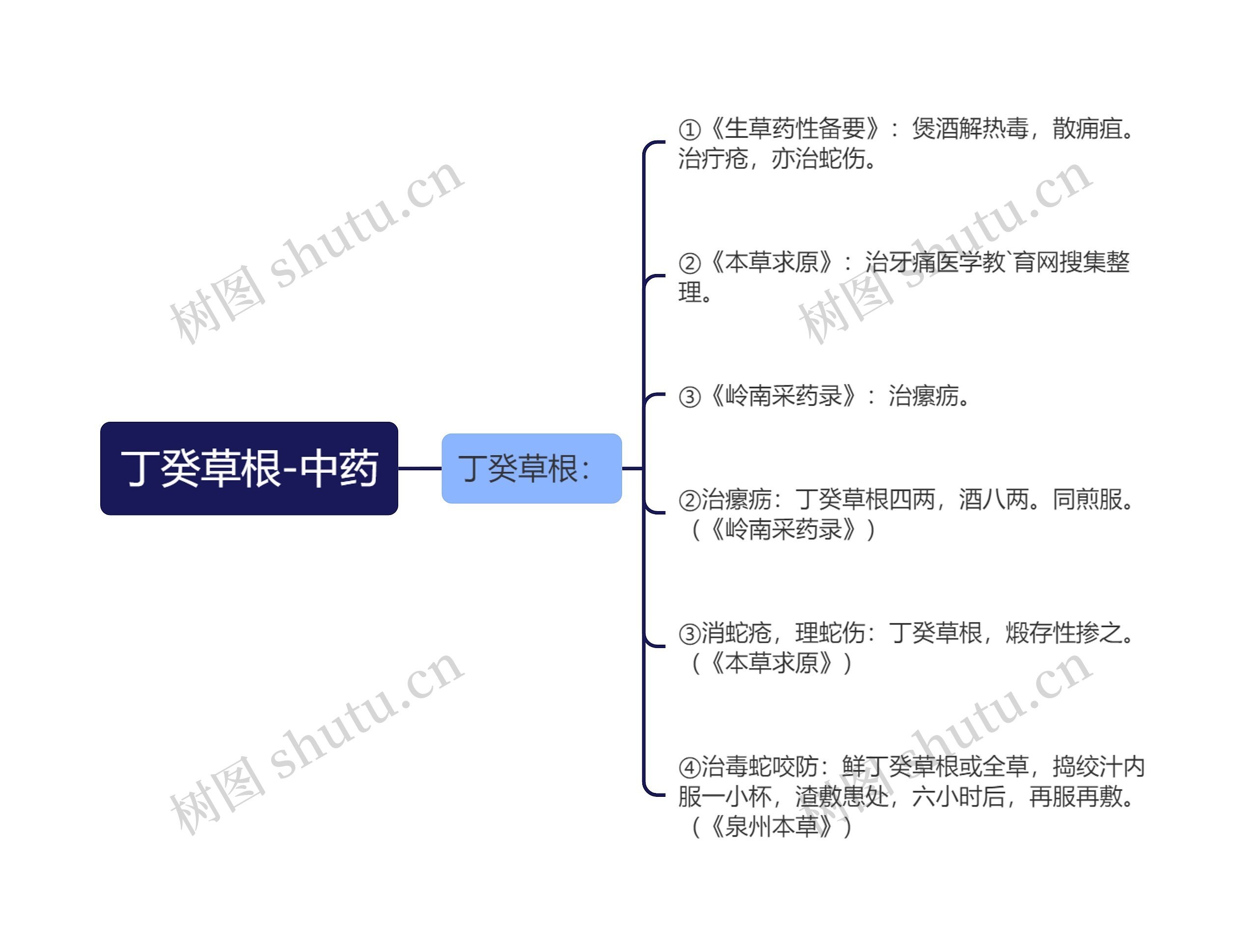 丁癸草根-中药思维导图