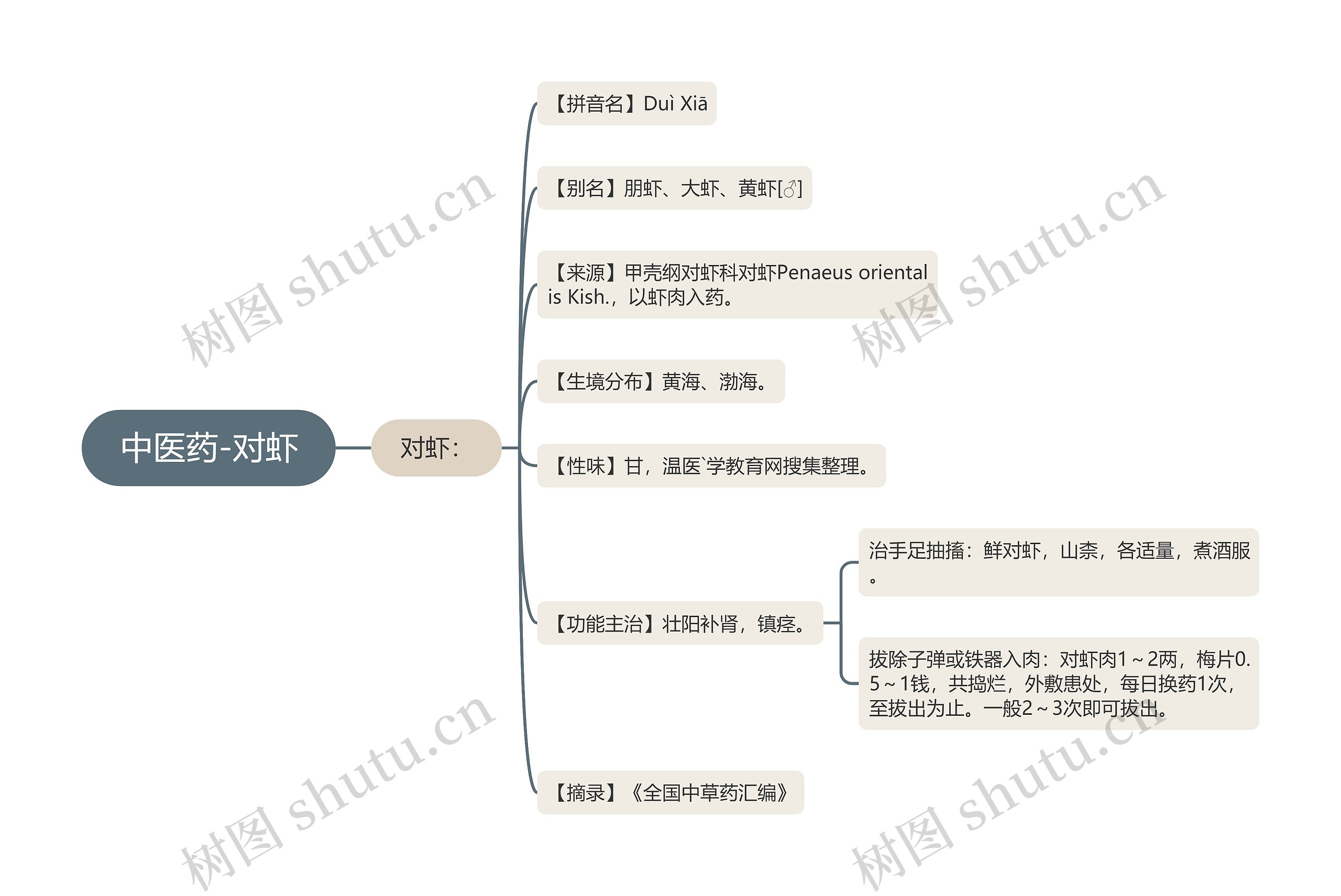 中医药-对虾思维导图