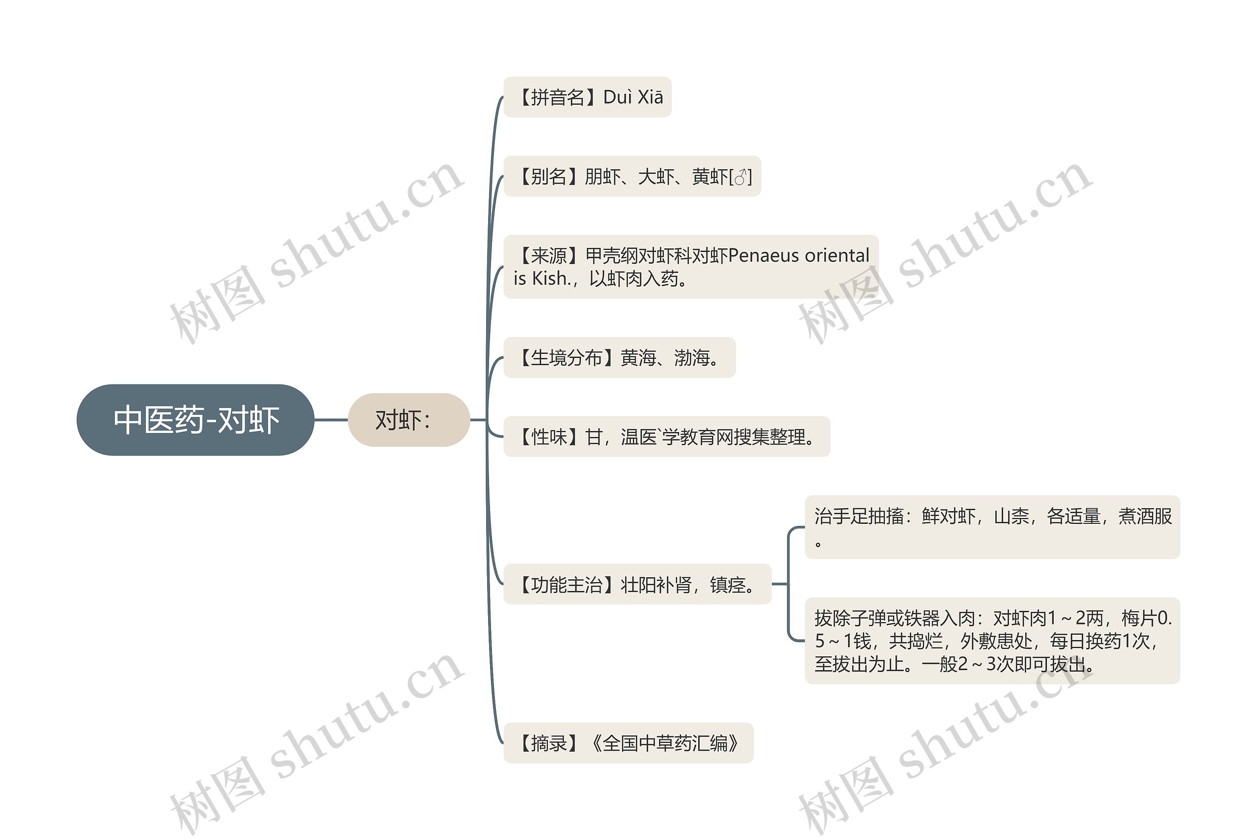 中医药-对虾 中医药-对虾