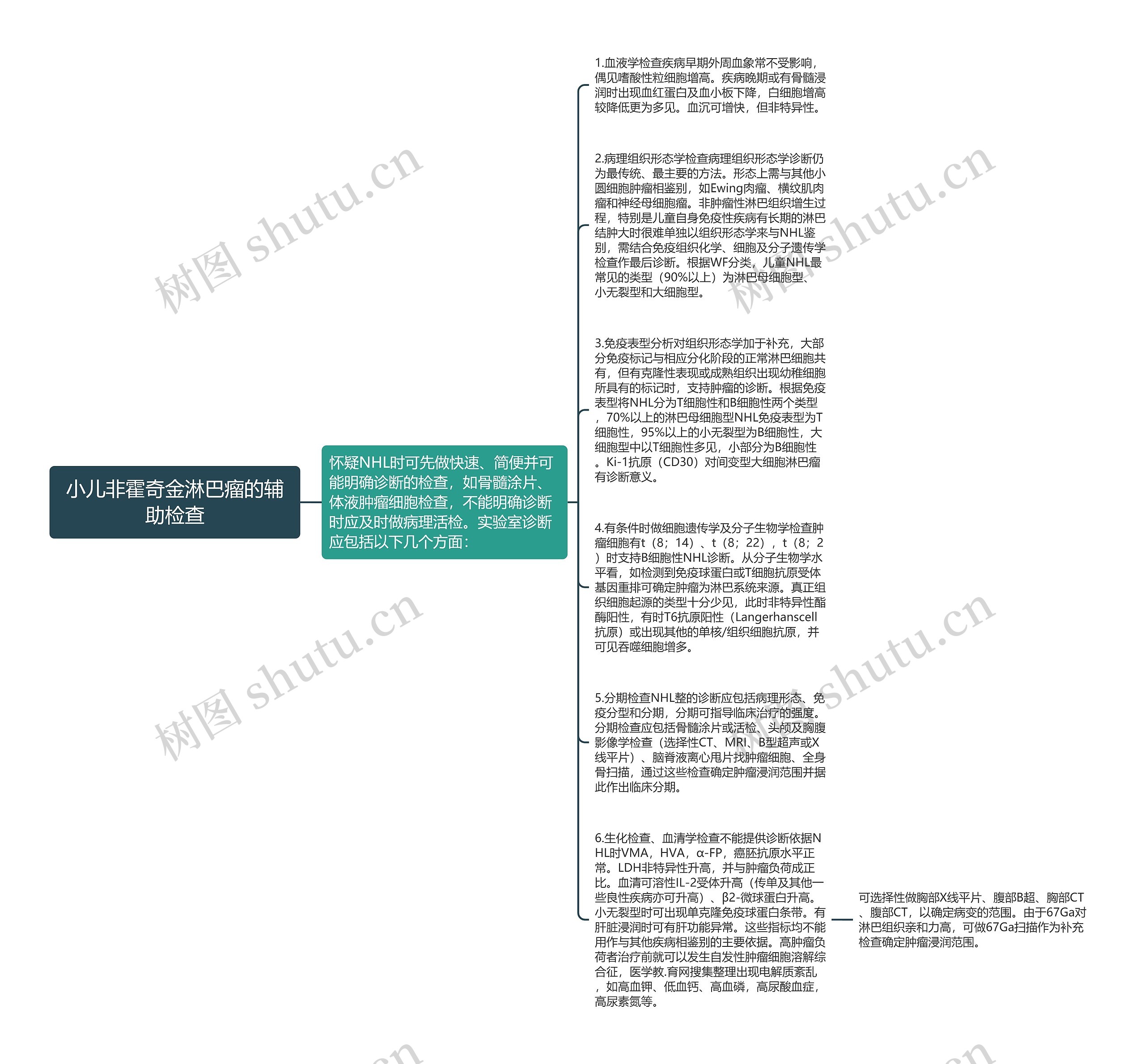 小儿非霍奇金淋巴瘤的辅助检查思维导图