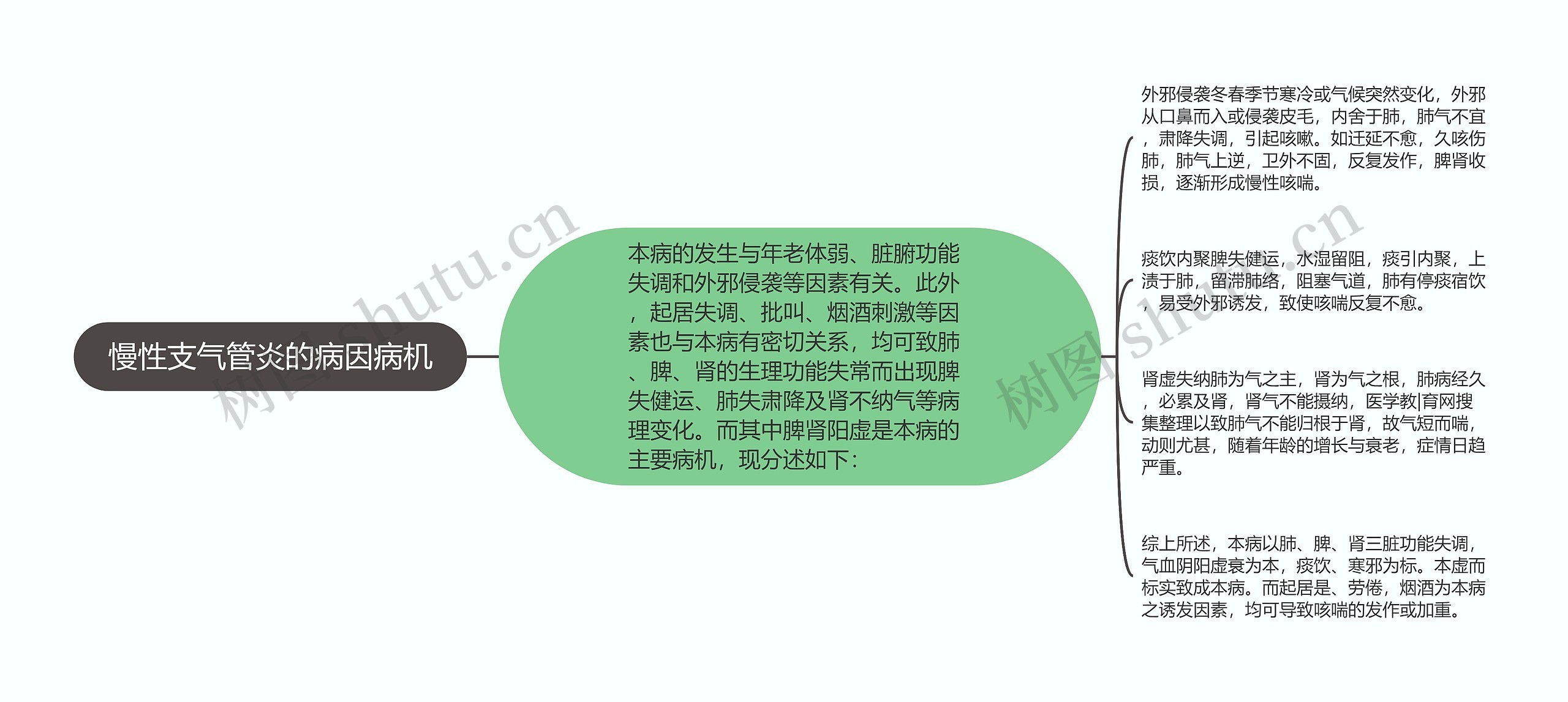 慢性支气管炎的病因病机思维导图