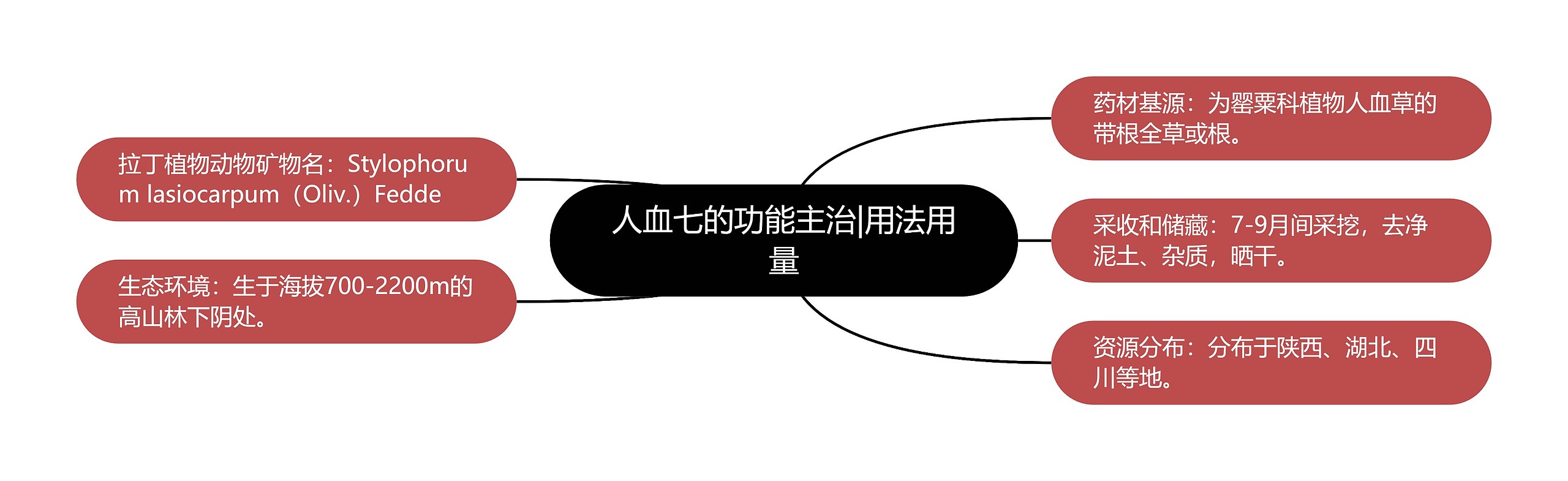 人血七的功能主治|用法用量思维导图