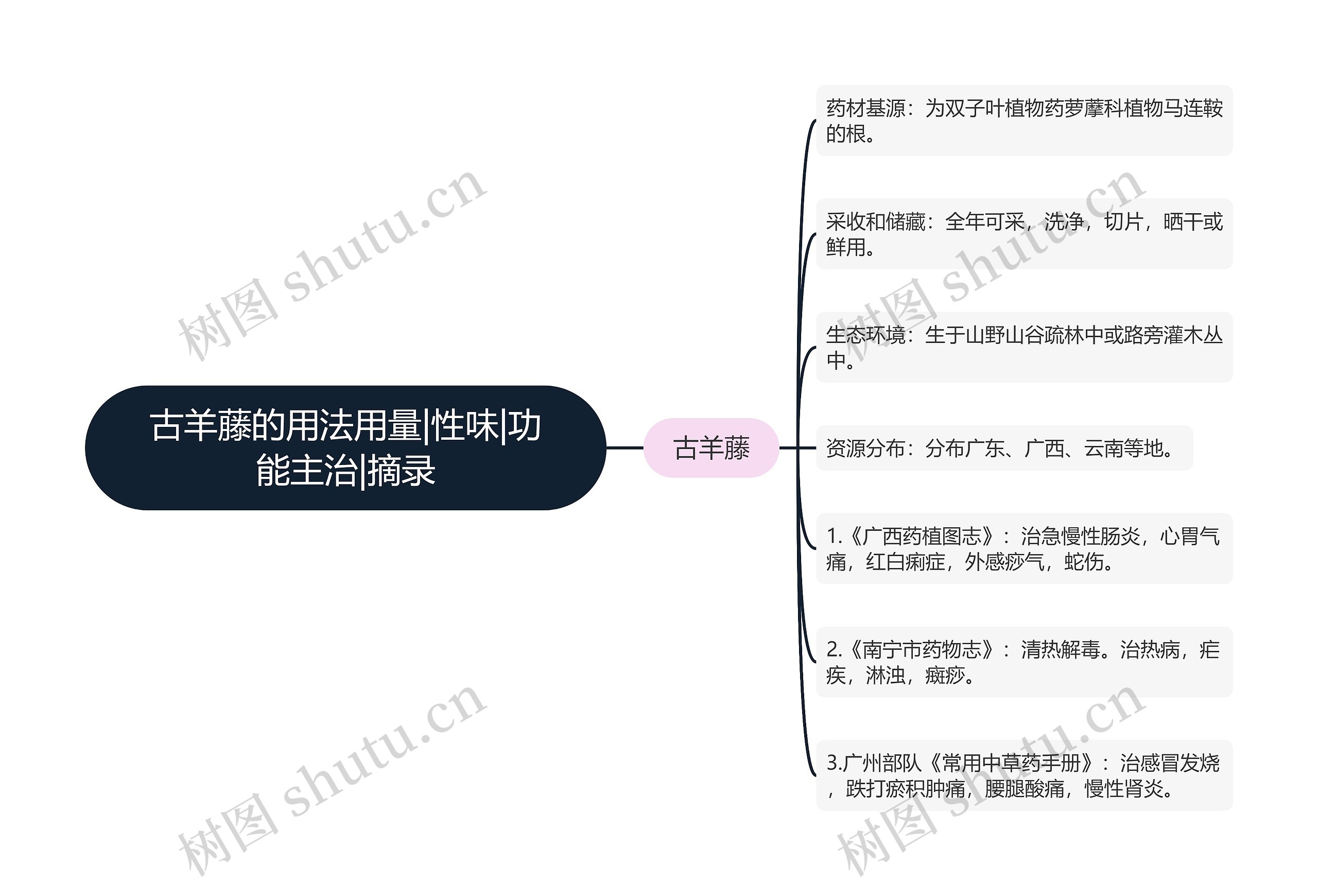 古羊藤的用法用量|性味|功能主治|摘录思维导图