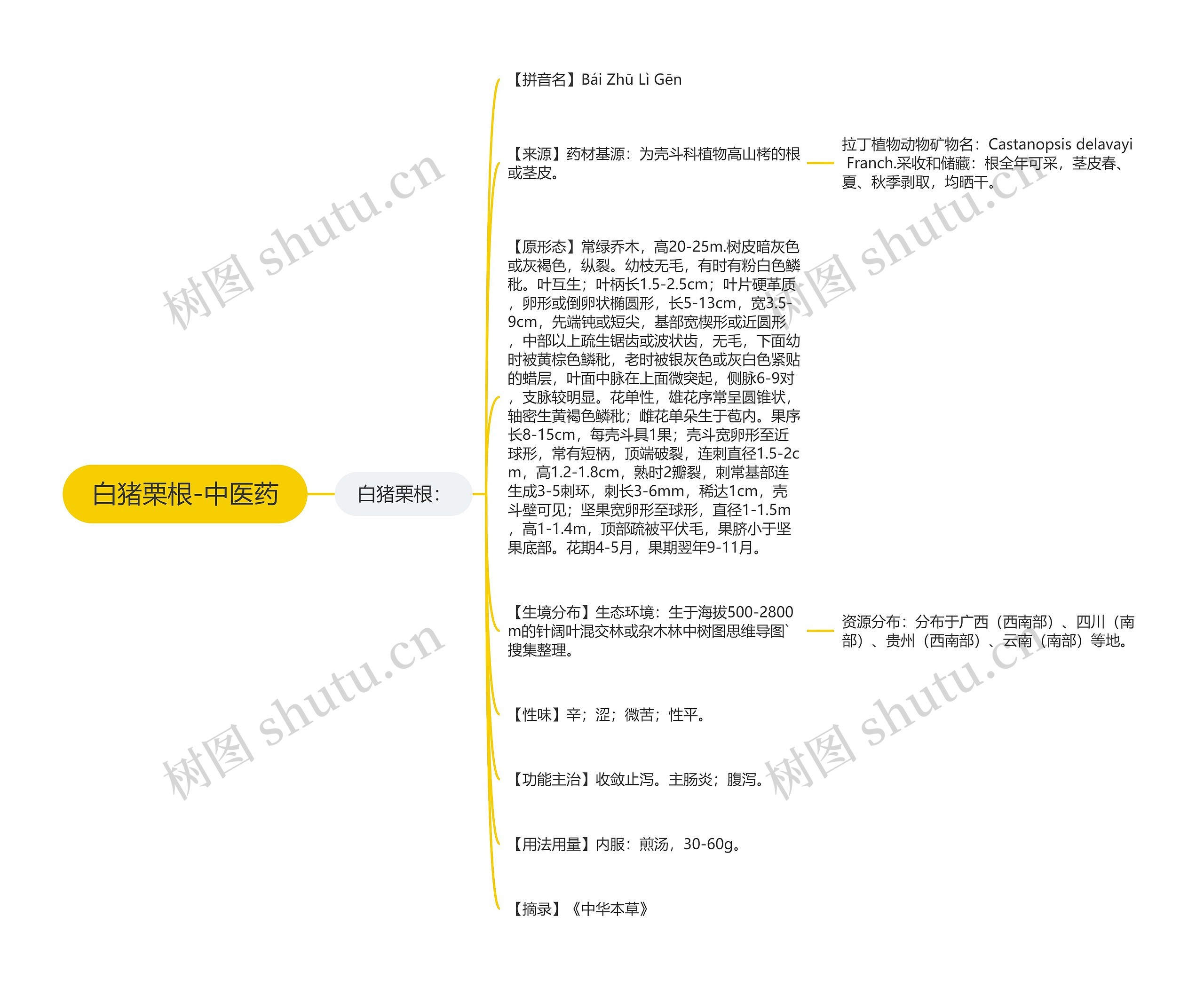 白猪栗根-中医药思维导图