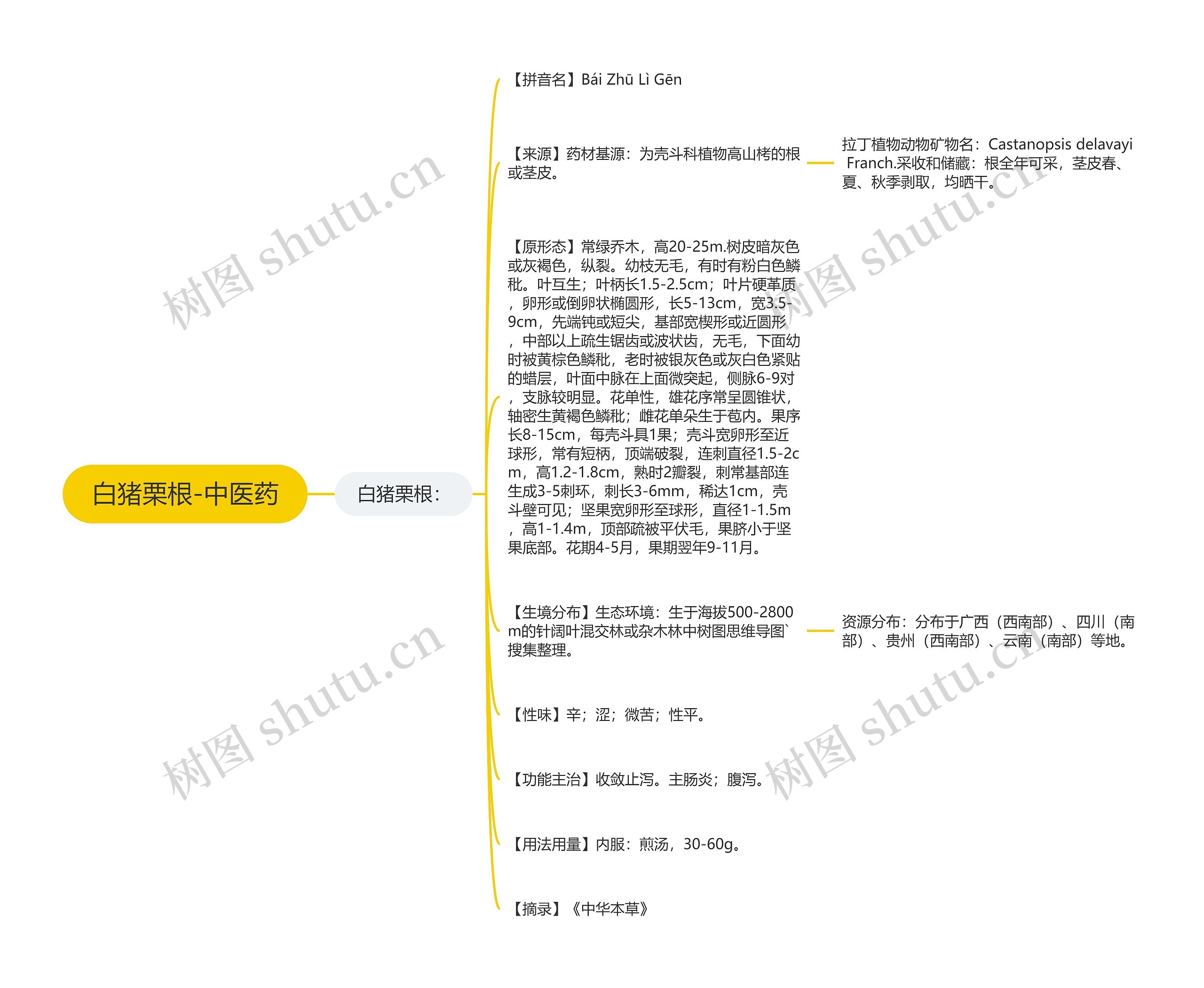 白猪栗根-中医药 白猪栗根-中医药
