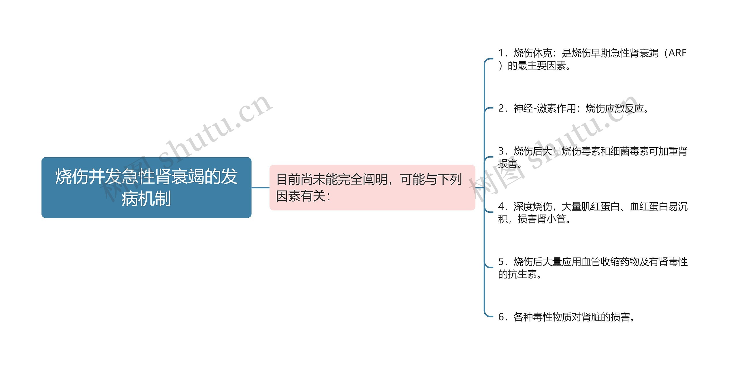 烧伤并发急性肾衰竭的发病机制思维导图