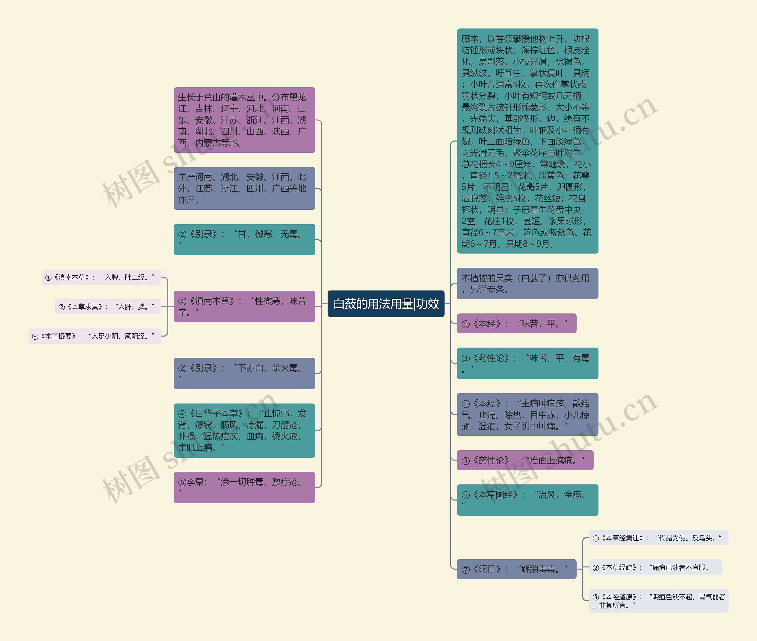 白蔹的用法用量|功效思维导图