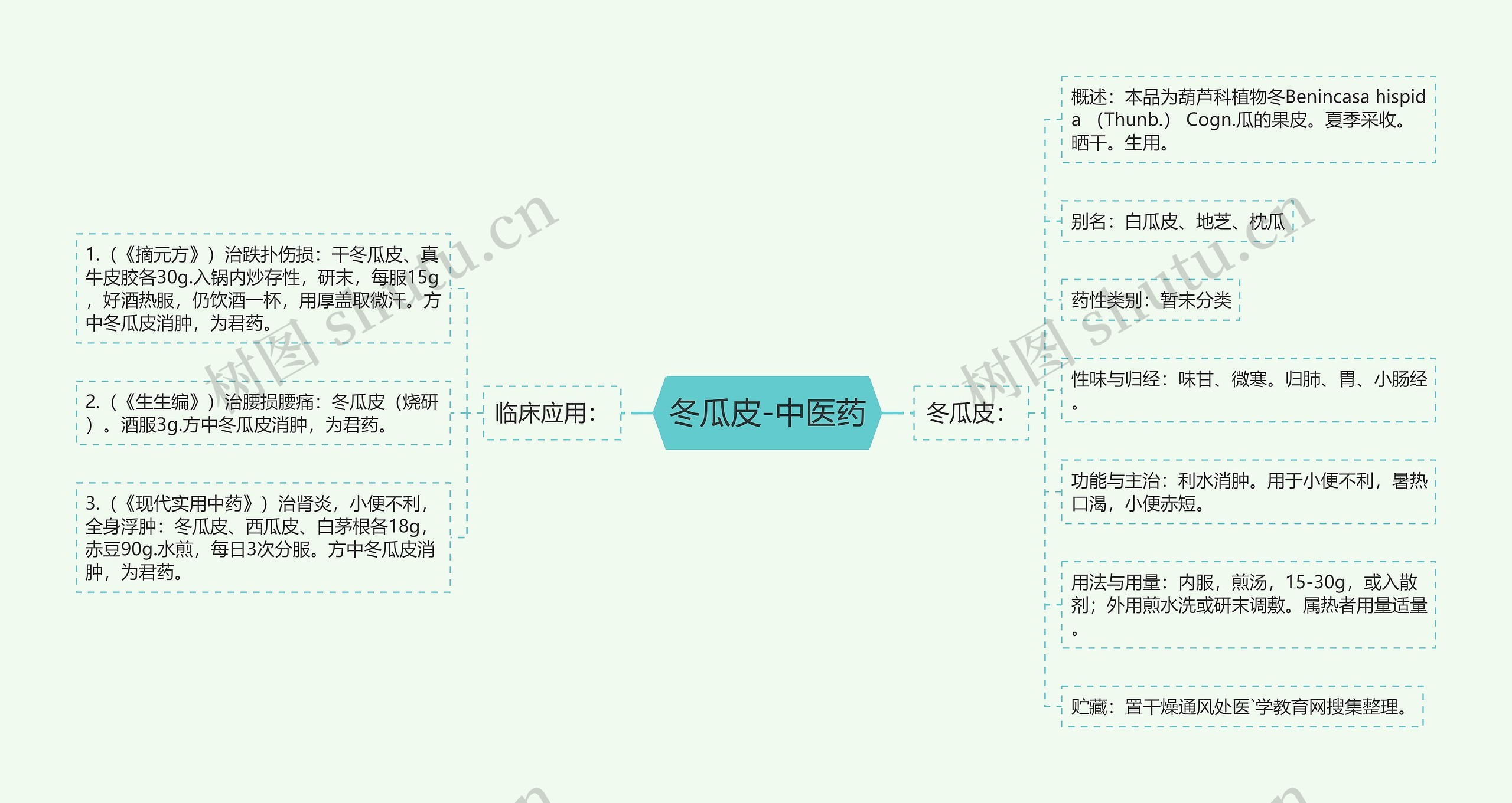 冬瓜皮-中医药思维导图