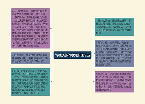 脊椎损伤的康复护理措施