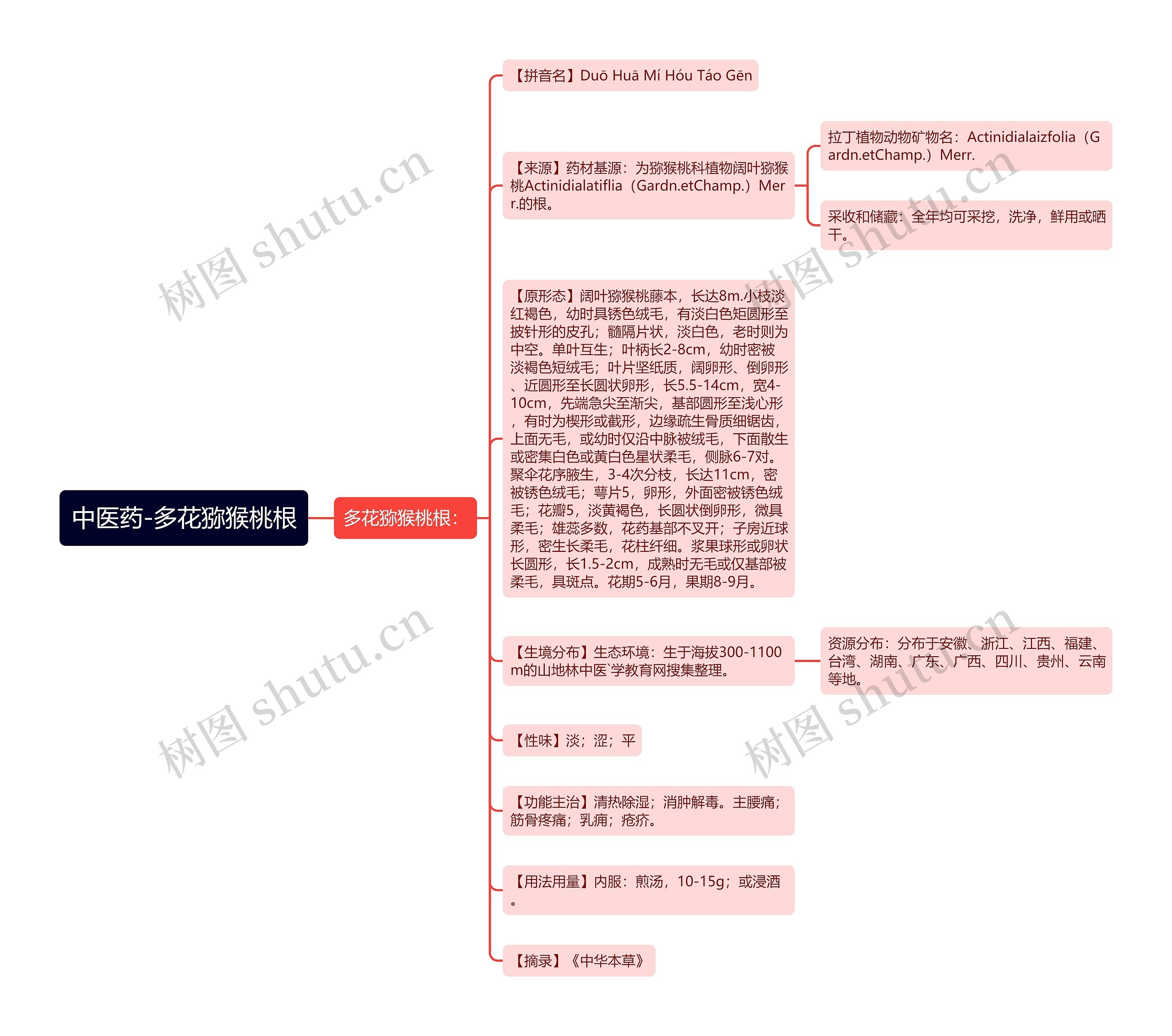 中医药-多花猕猴桃根思维导图