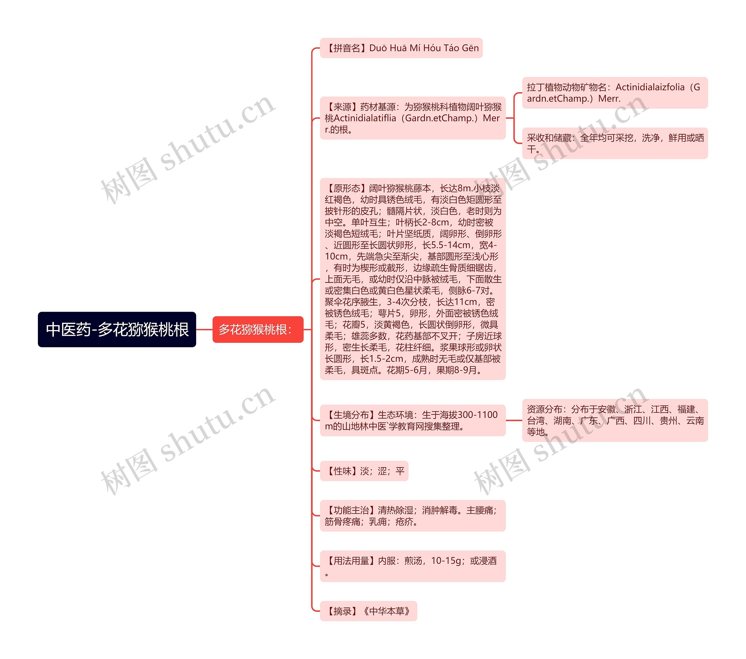 中医药-多花猕猴桃根 中医药-多花猕猴桃根