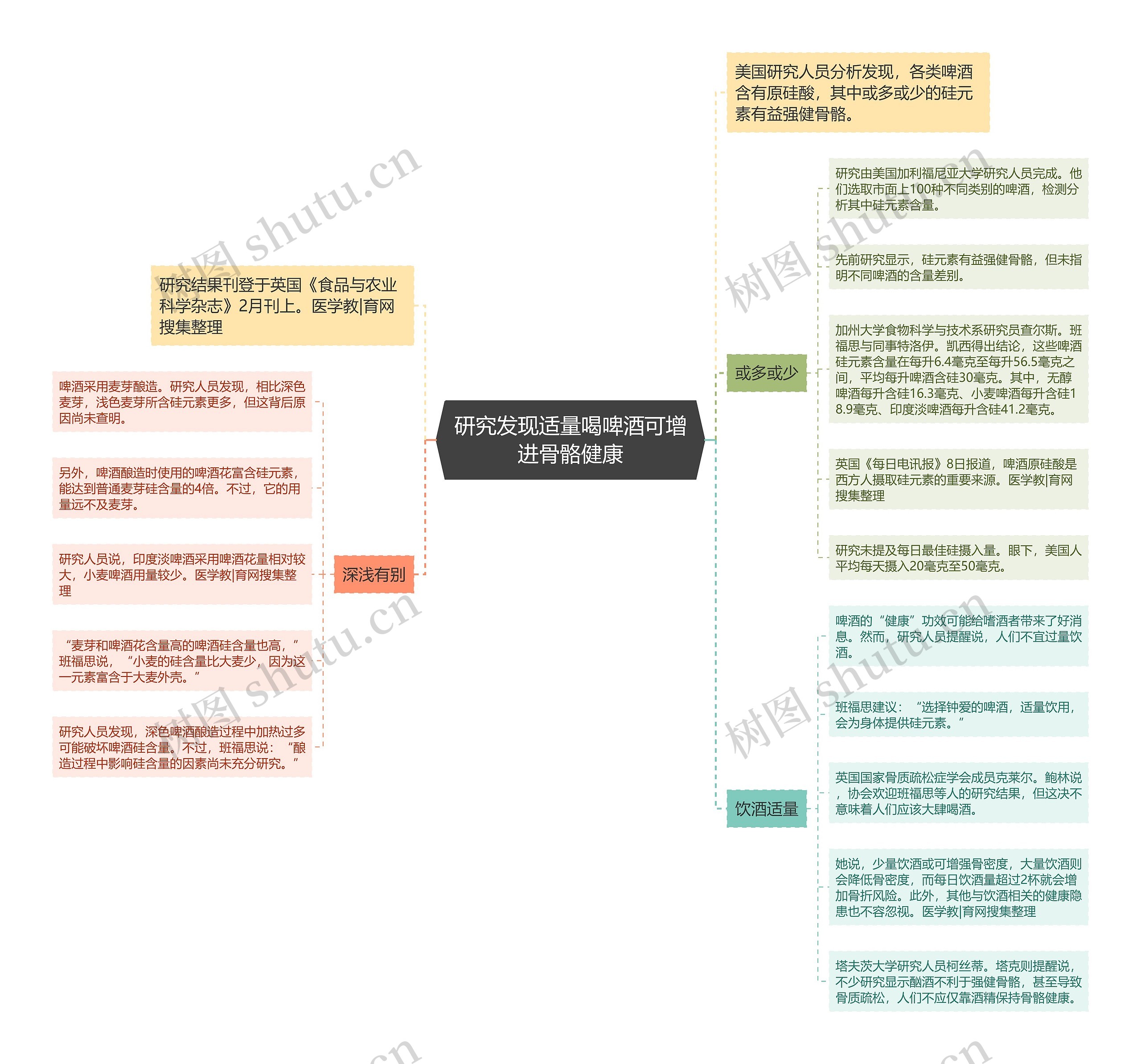 研究发现适量喝啤酒可增进骨骼健康思维导图