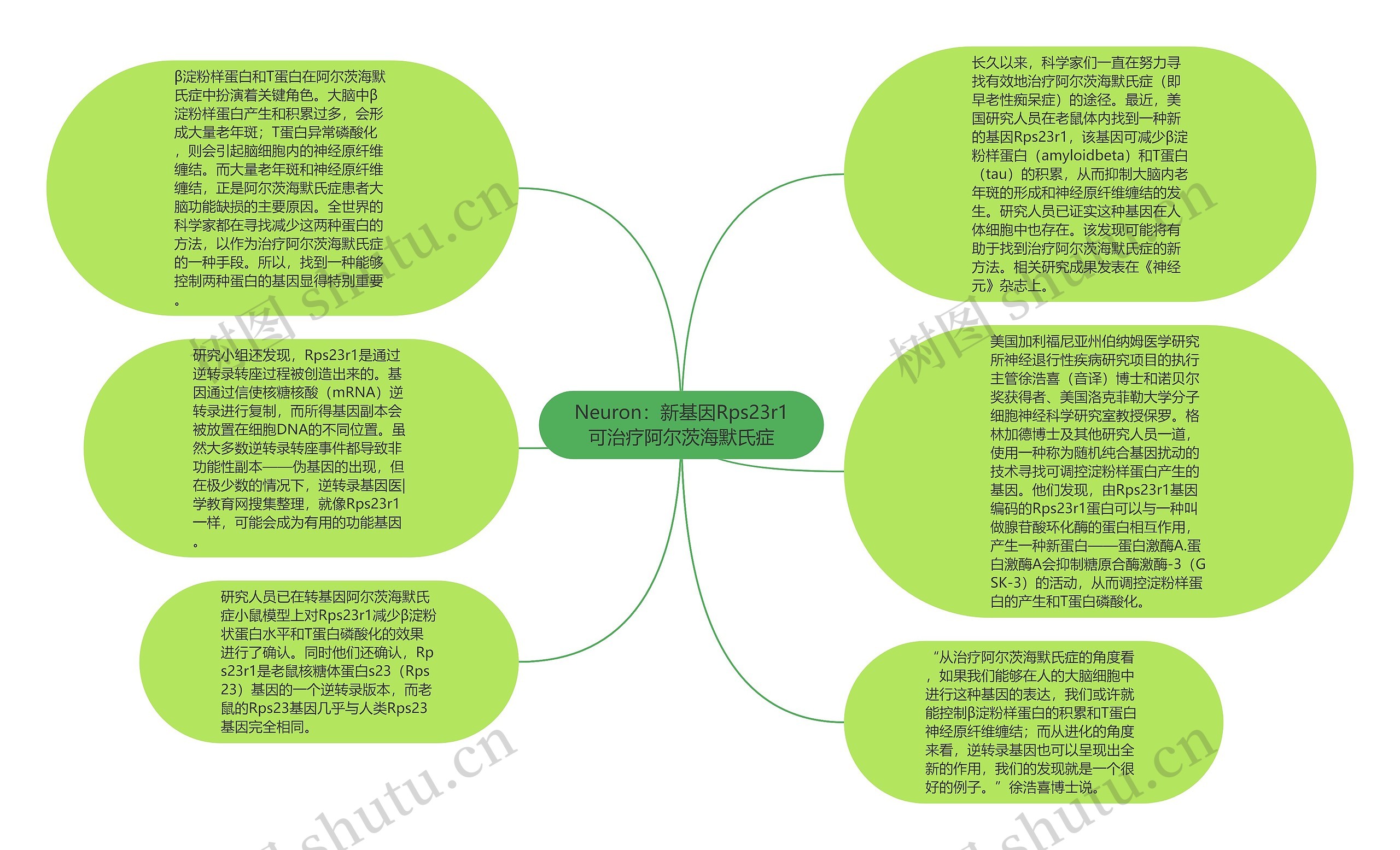 Neuron：新基因Rps23r1可治疗阿尔茨海默氏症思维导图