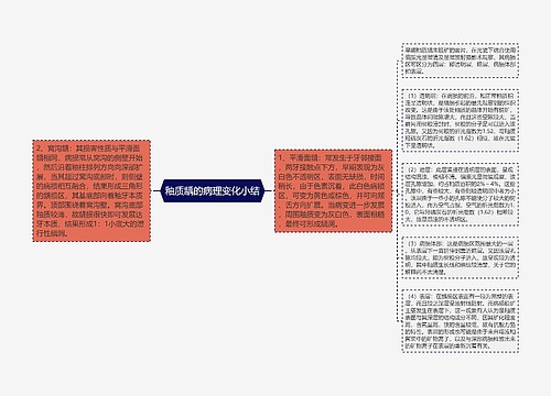 釉质龋的病理变化小结