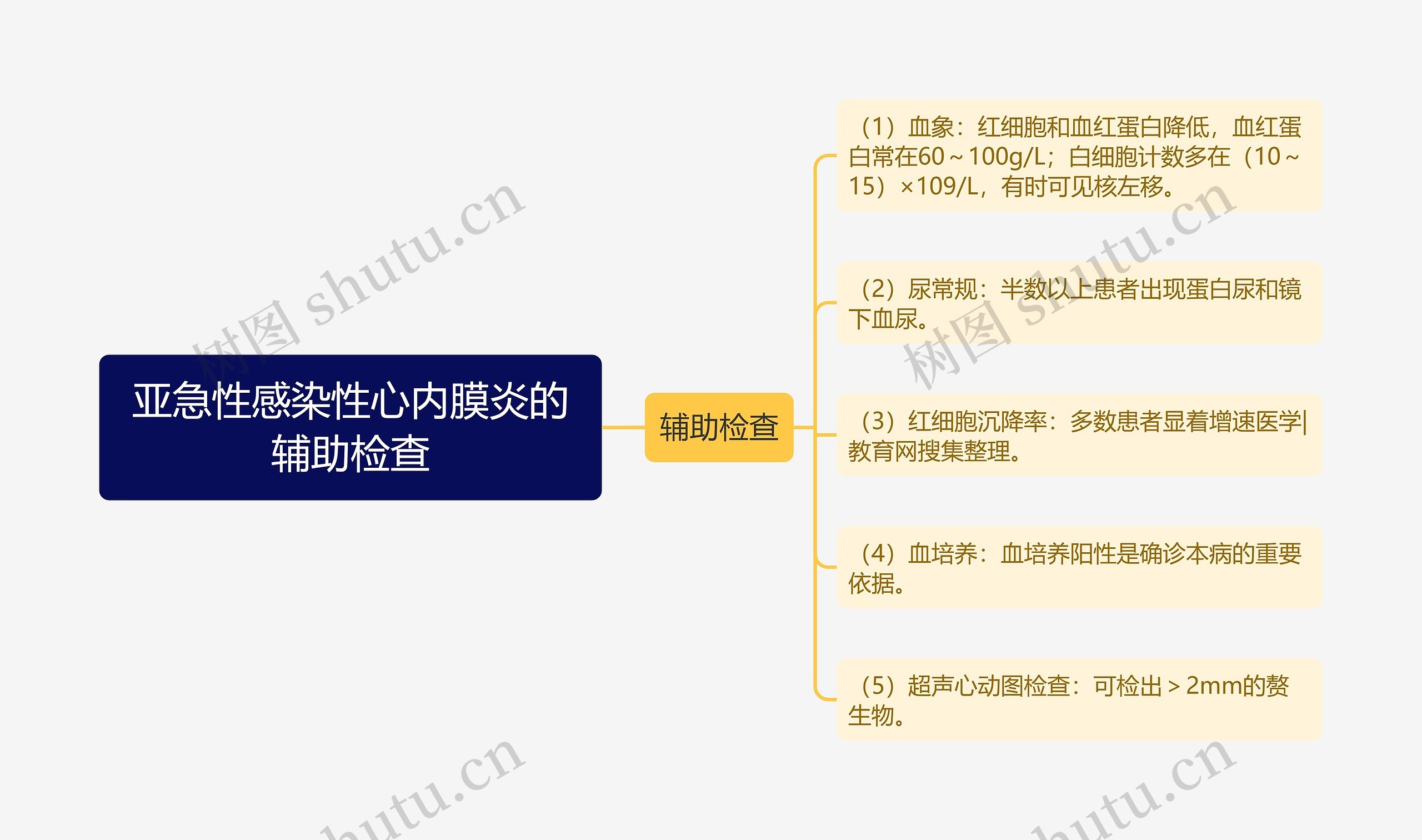 亚急性感染性心内膜炎的辅助检查思维导图