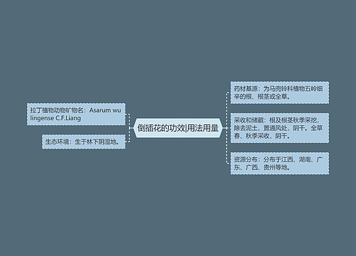 倒插花的功效|用法用量 倒插花的功效|用法用量