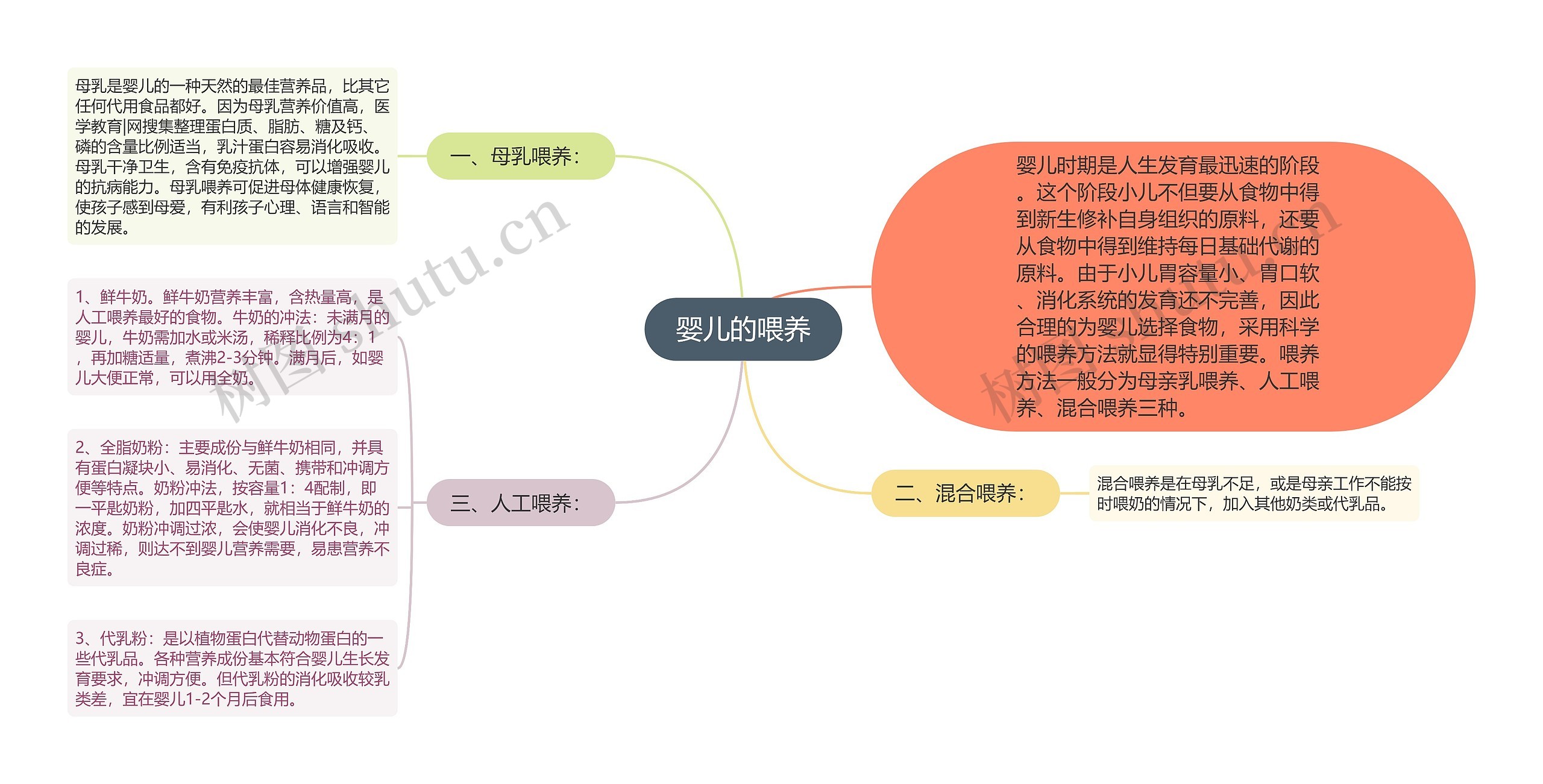 婴儿的喂养思维导图