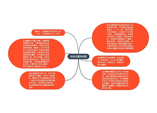 肺包虫囊肿病理